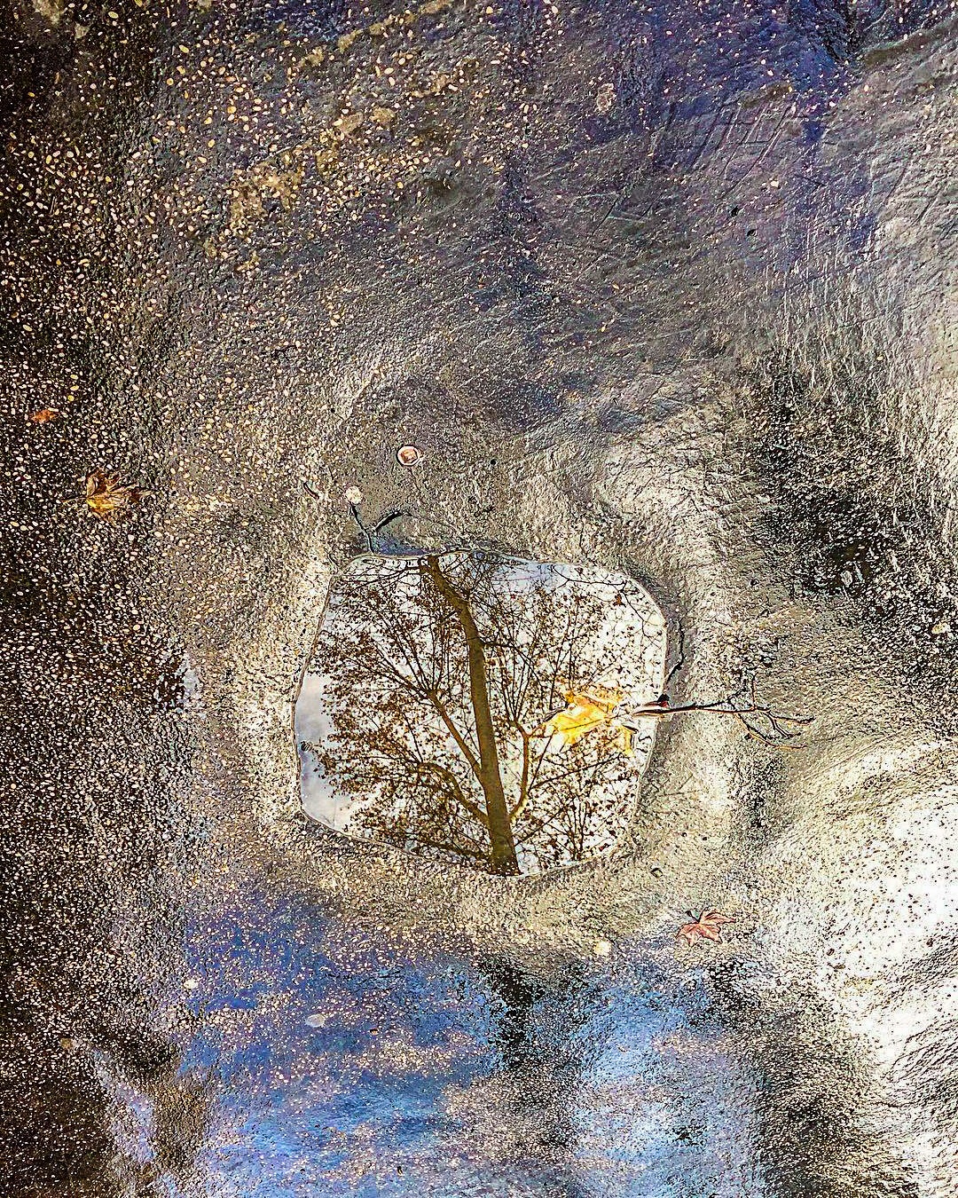 Still life, liquid (with slight changes)