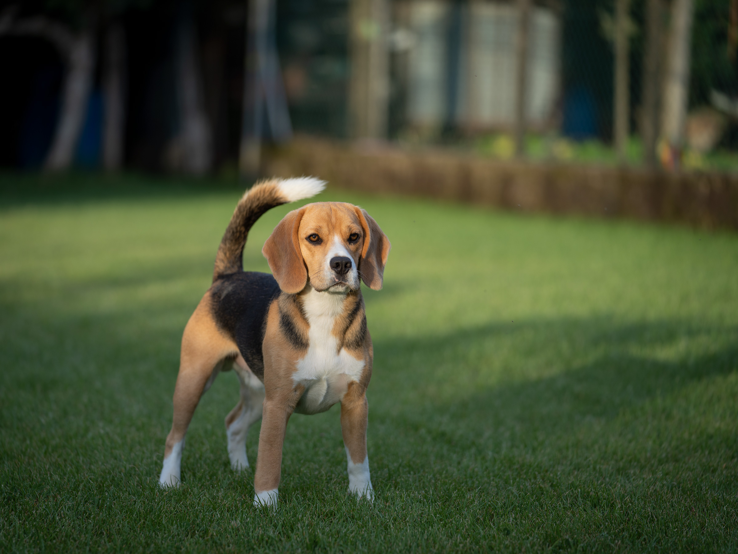 I'm going to win at dawn!!!!!