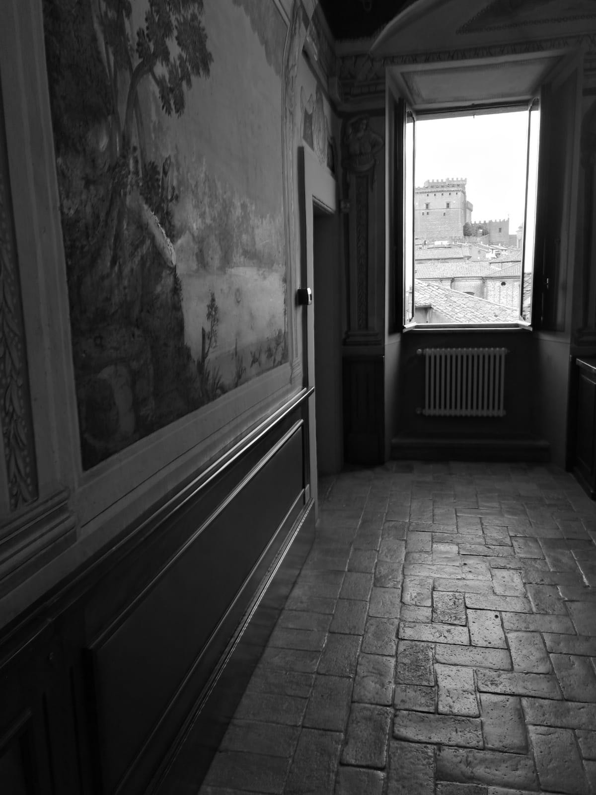 Untitled Photo