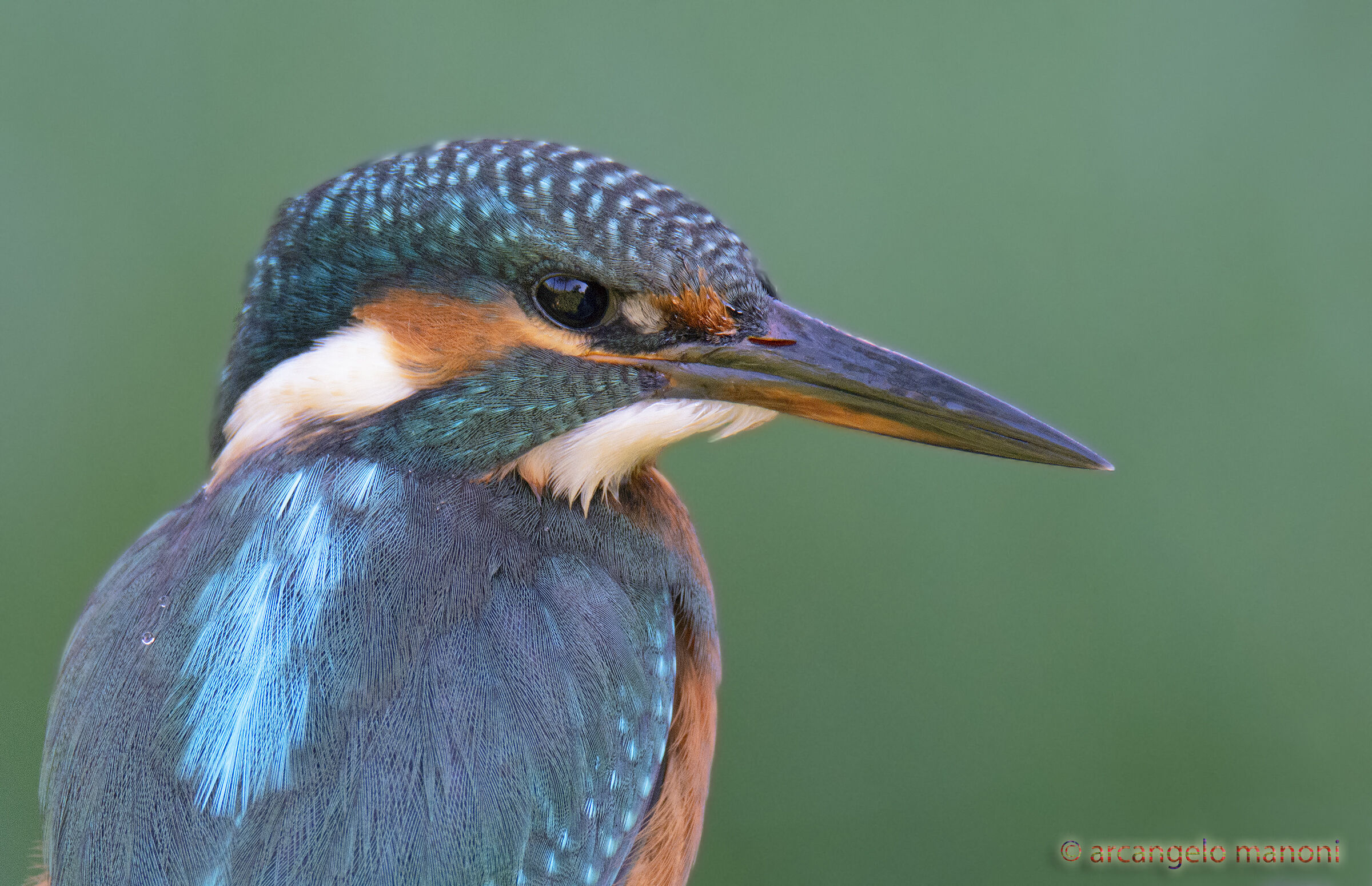 A photo-it inse sheath for my new martina