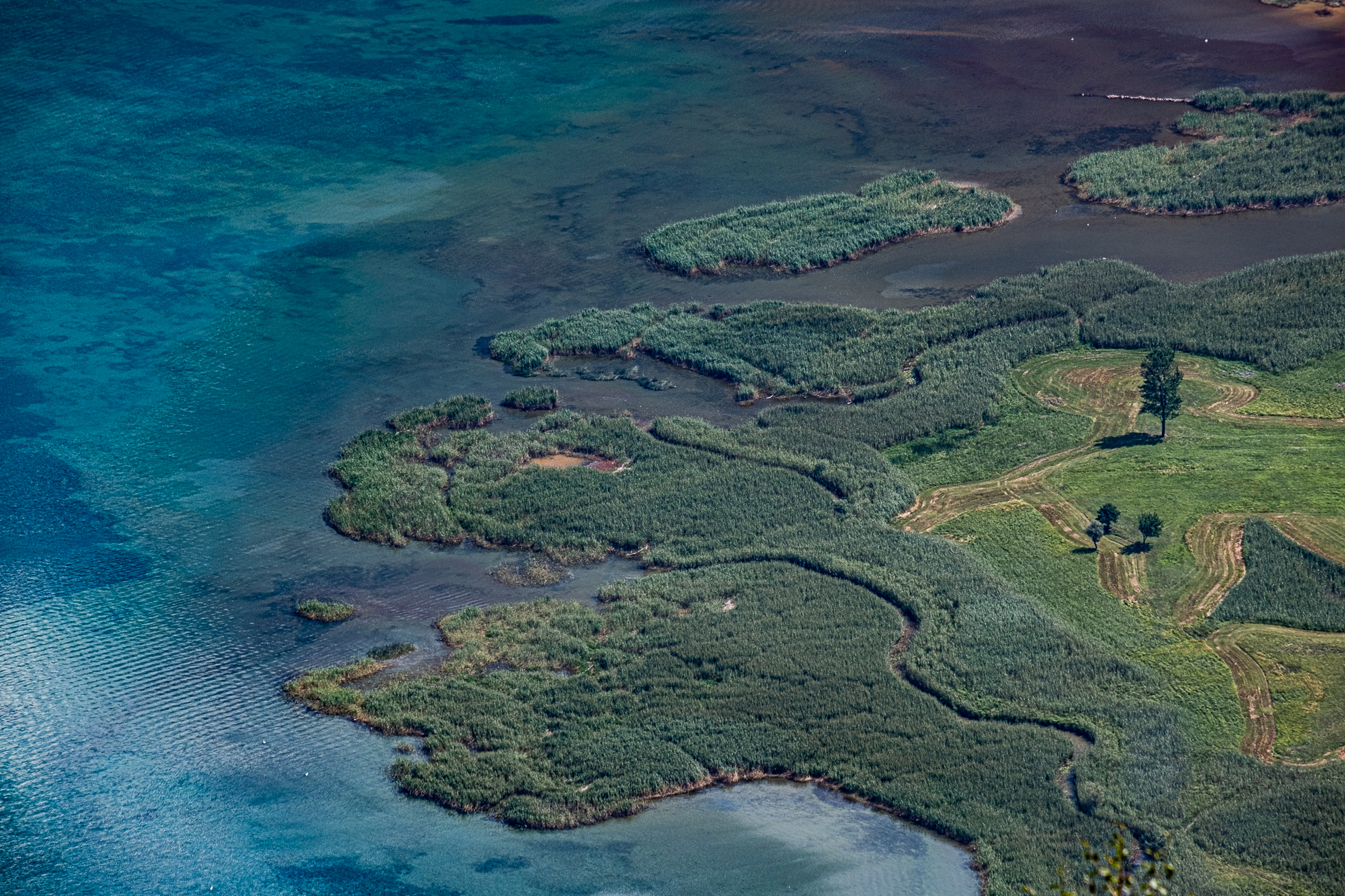 Spain's Pian Nature Reserve and Mezzola Lake
