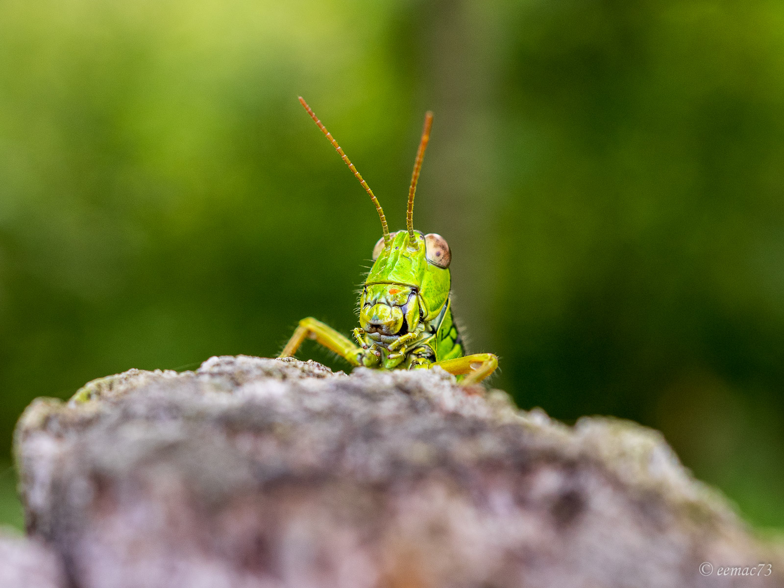 What are you looking at?