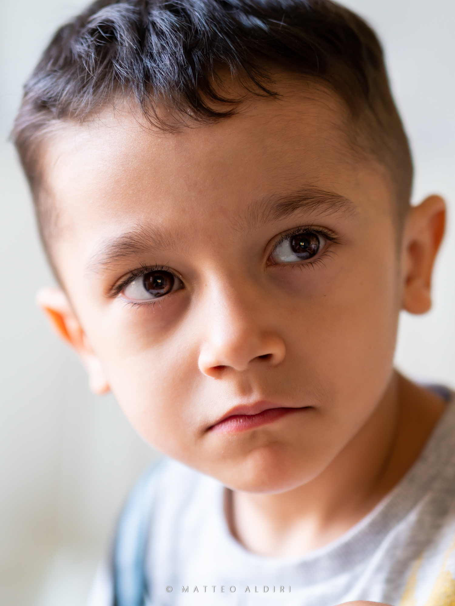 Il mio piccolo modello cresce