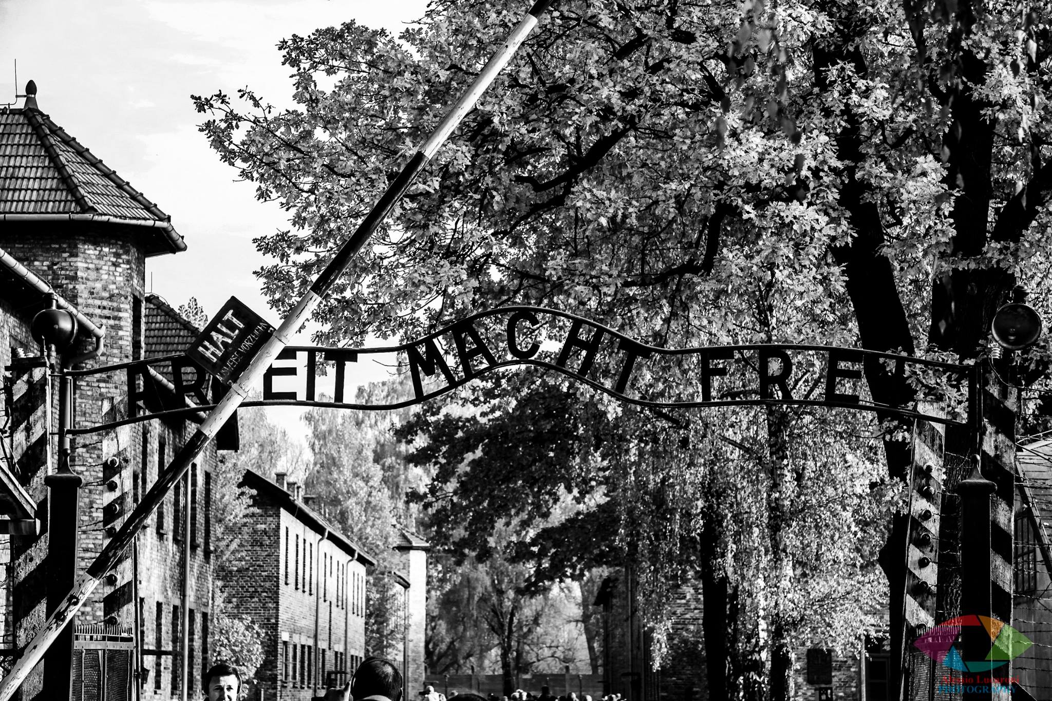 Ingresso del Terrore