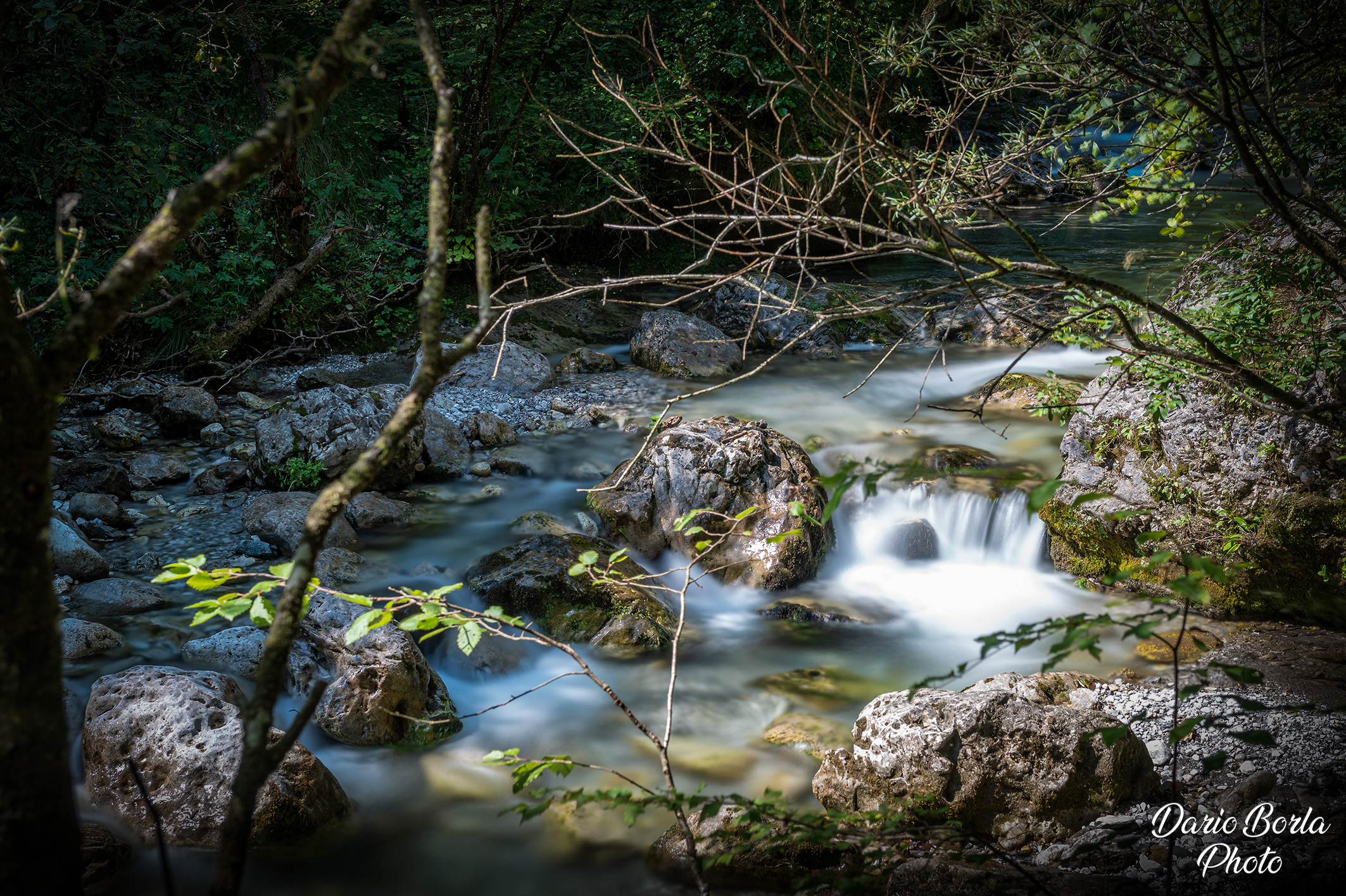 Torrente in Val Vertova (BG) - Lombardy