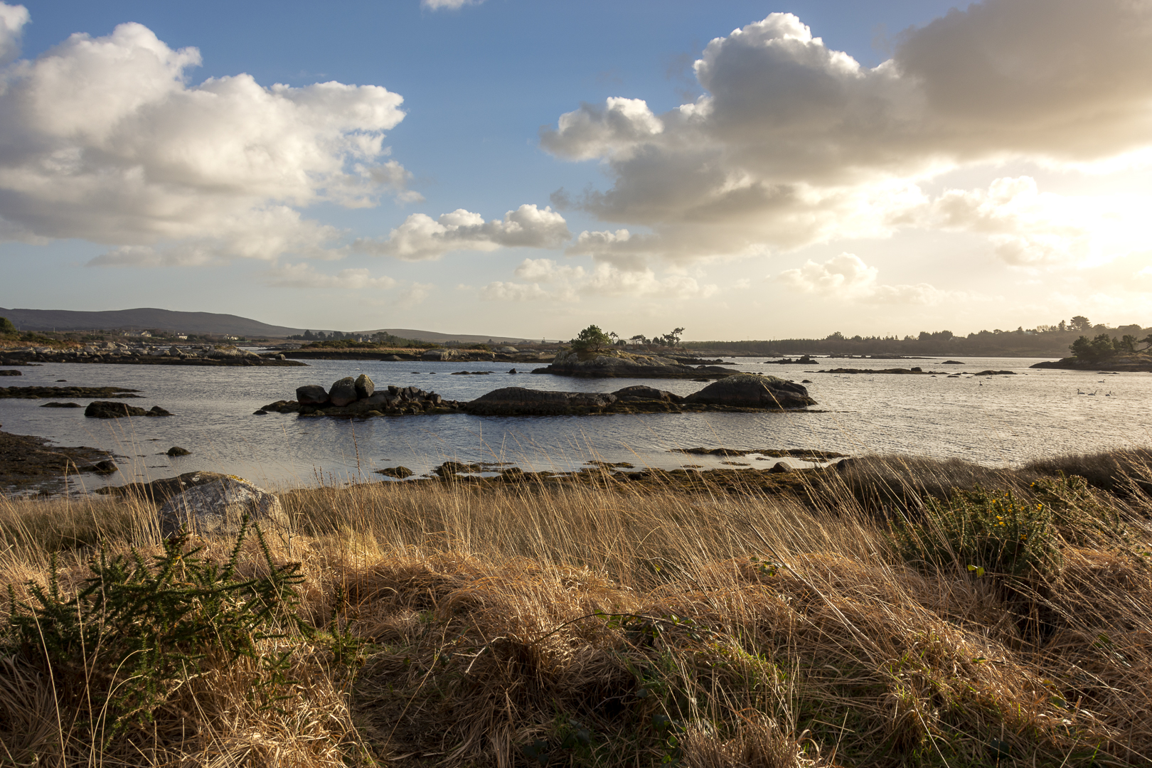 Connemara on the road