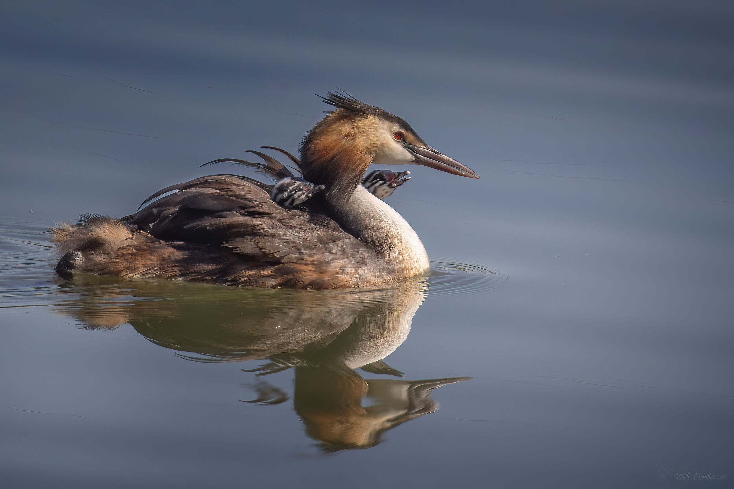 Walking with mom..........