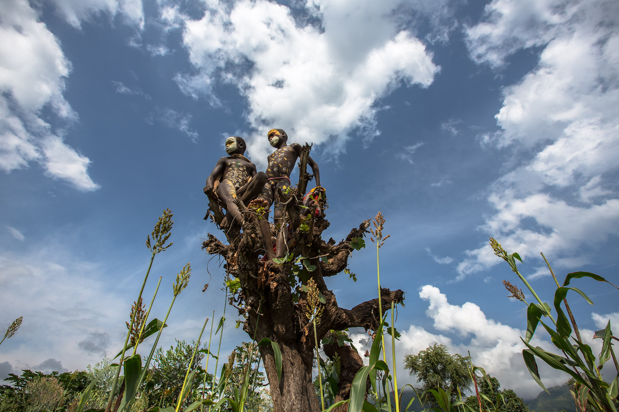 the children of the sun