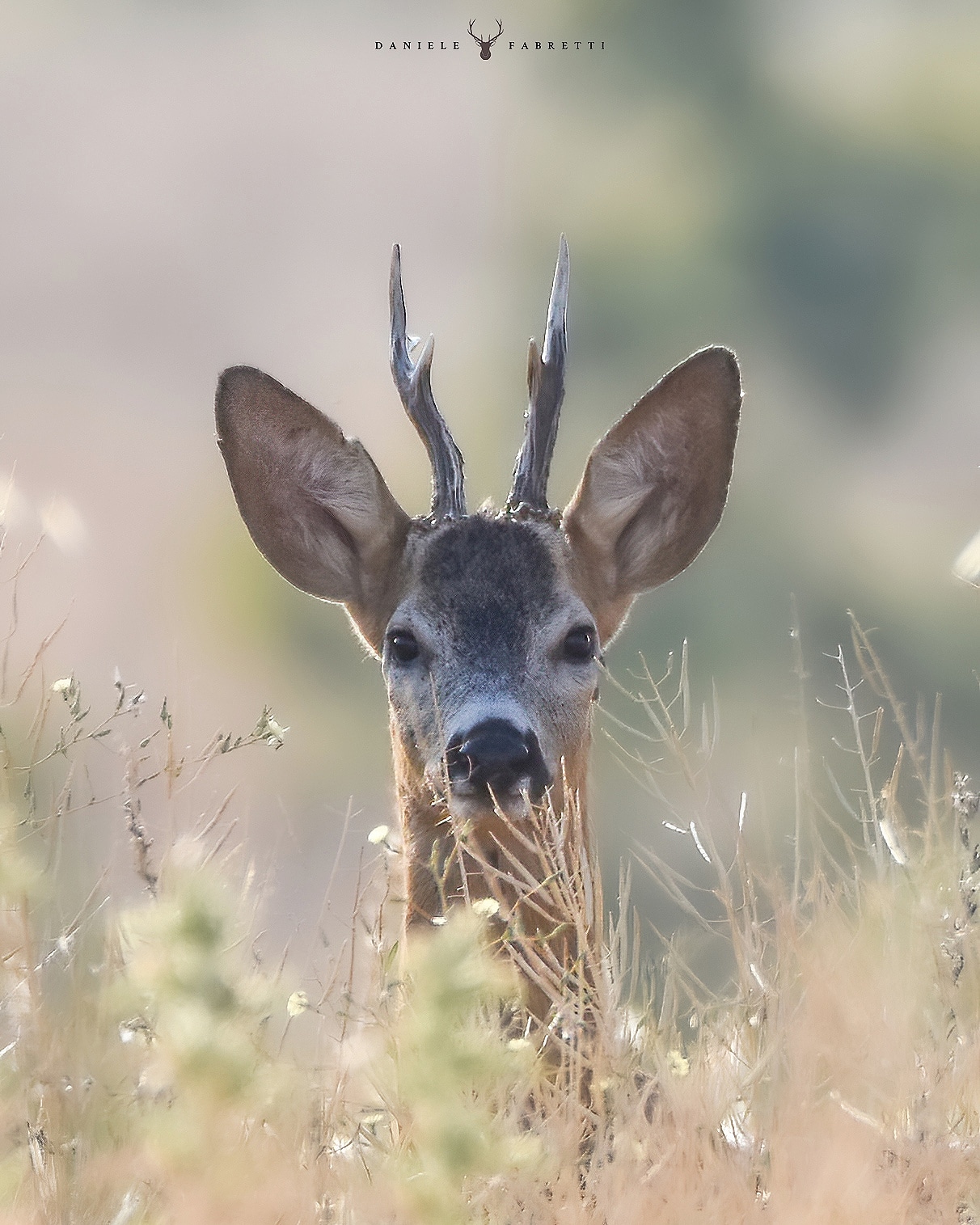 "An unexpected encounter"
