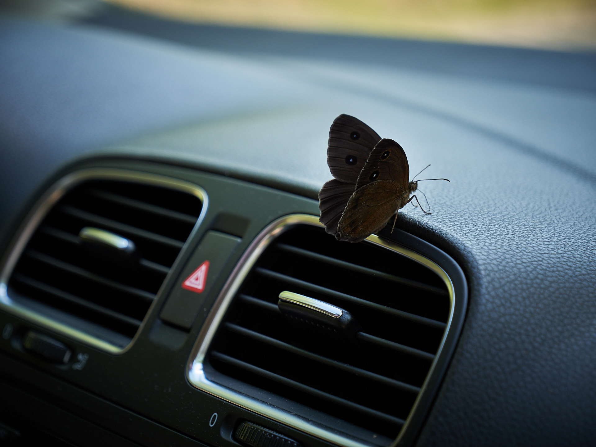 Magique Butterfly