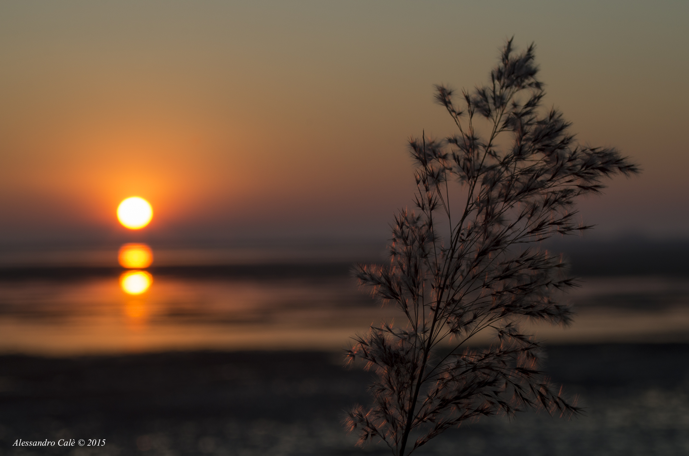 Laguna di Grado 5244