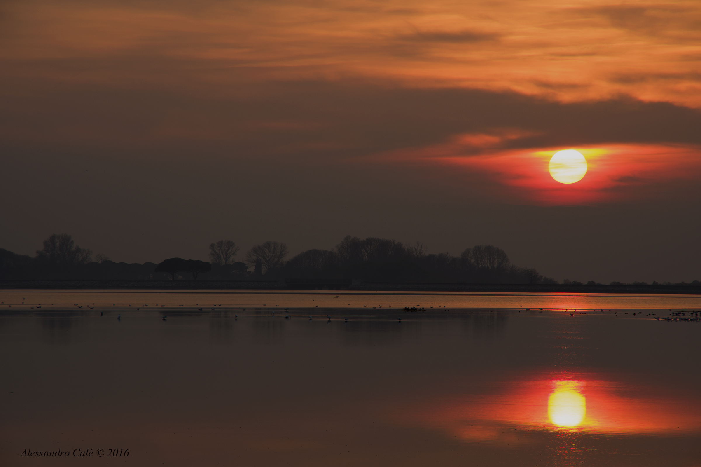 Laguna di Grado 0166