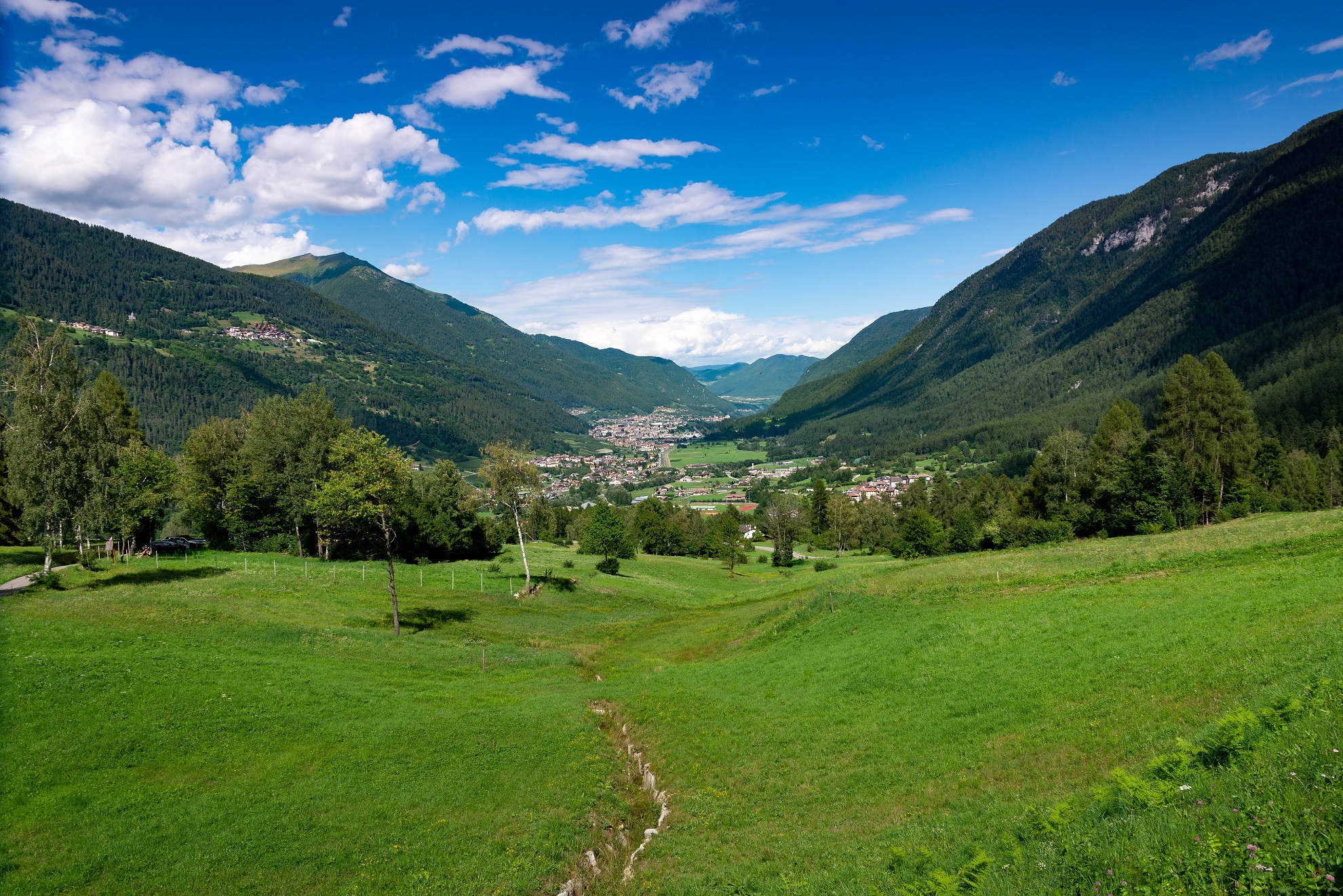 Val Di Sole da Folgarida