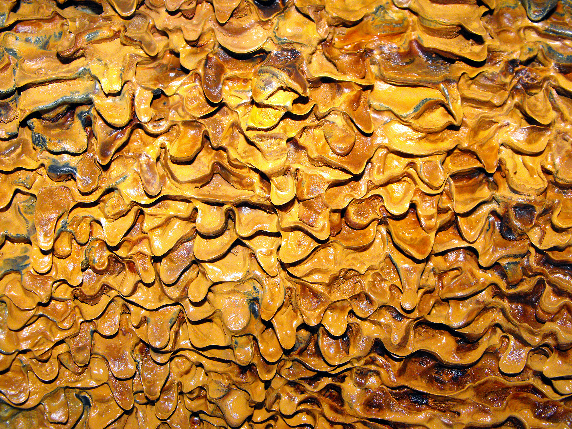 La natura dà spettacolo