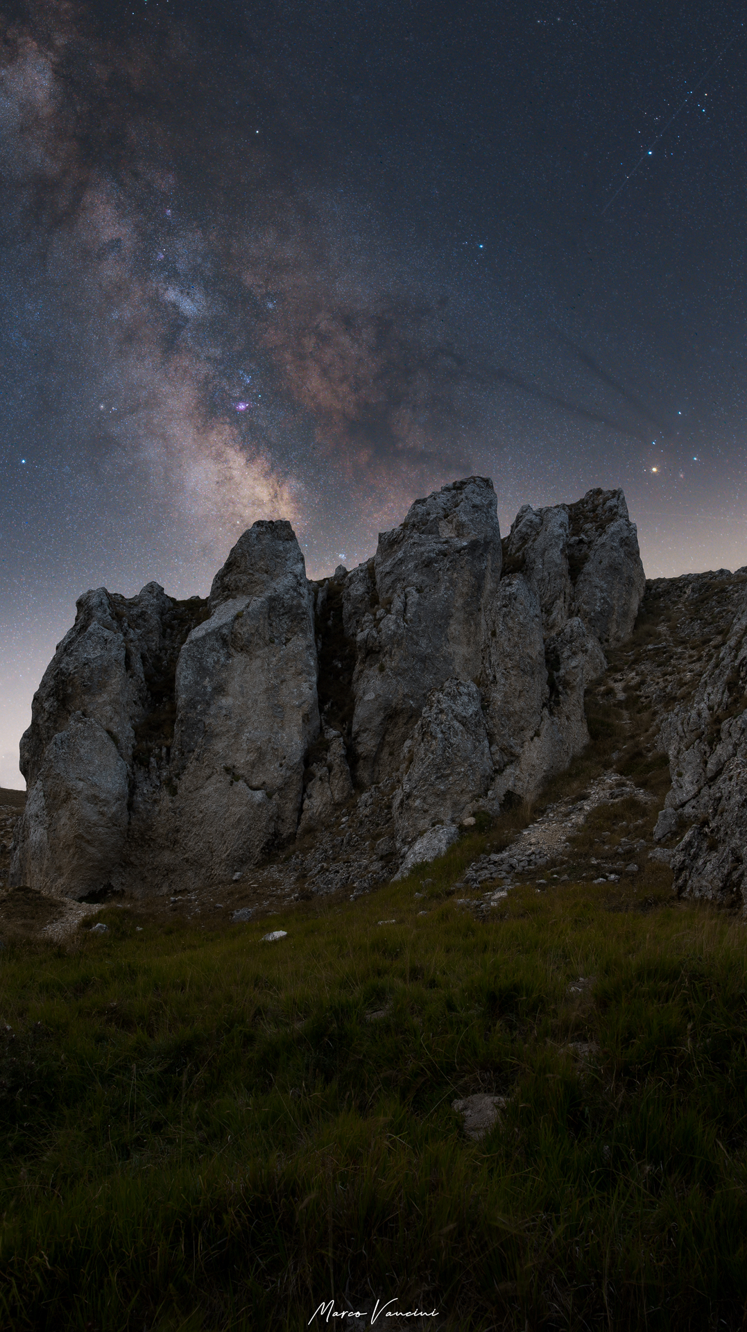 The Queen of the Night