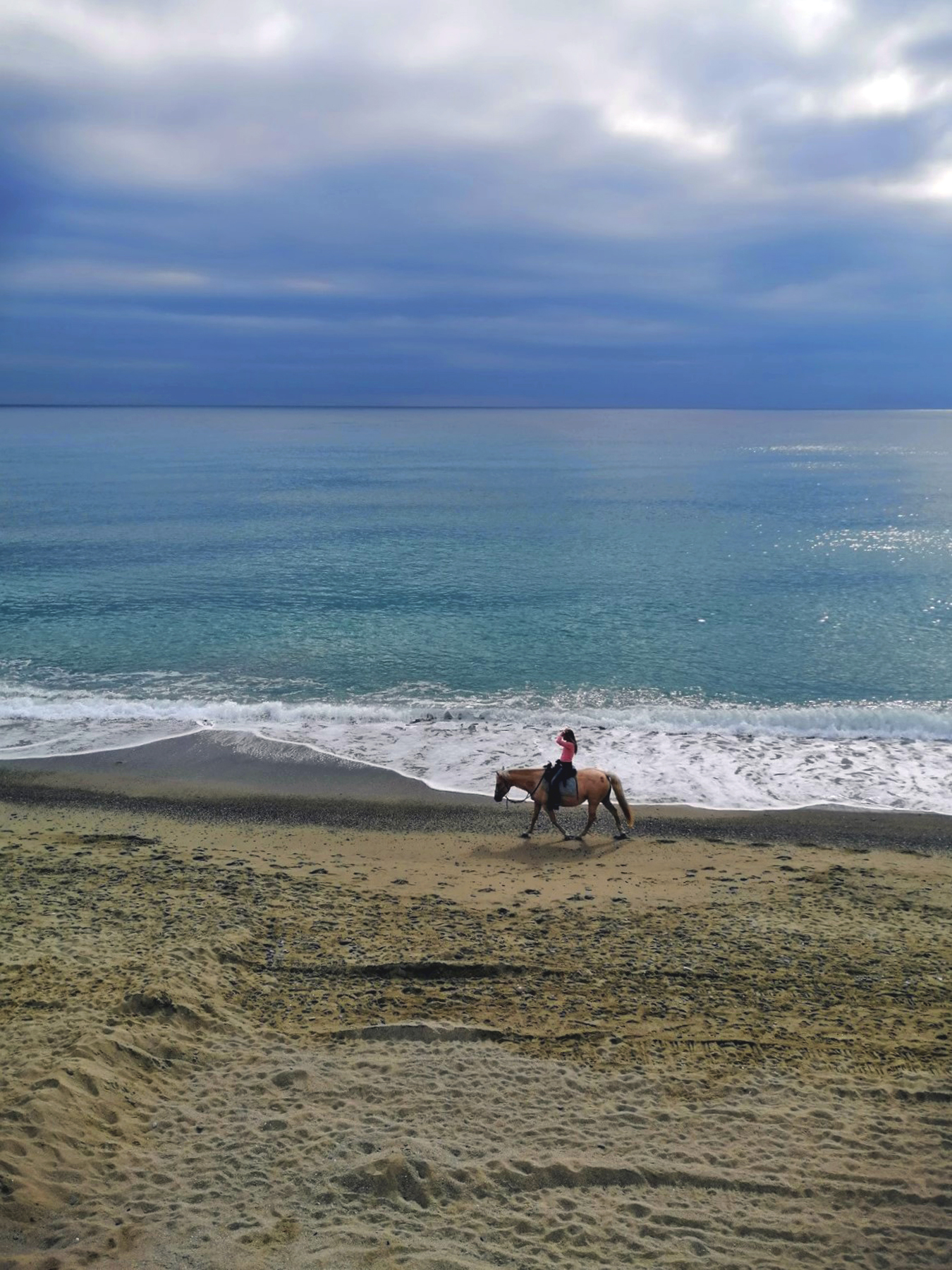 Cavallucci di mare ...