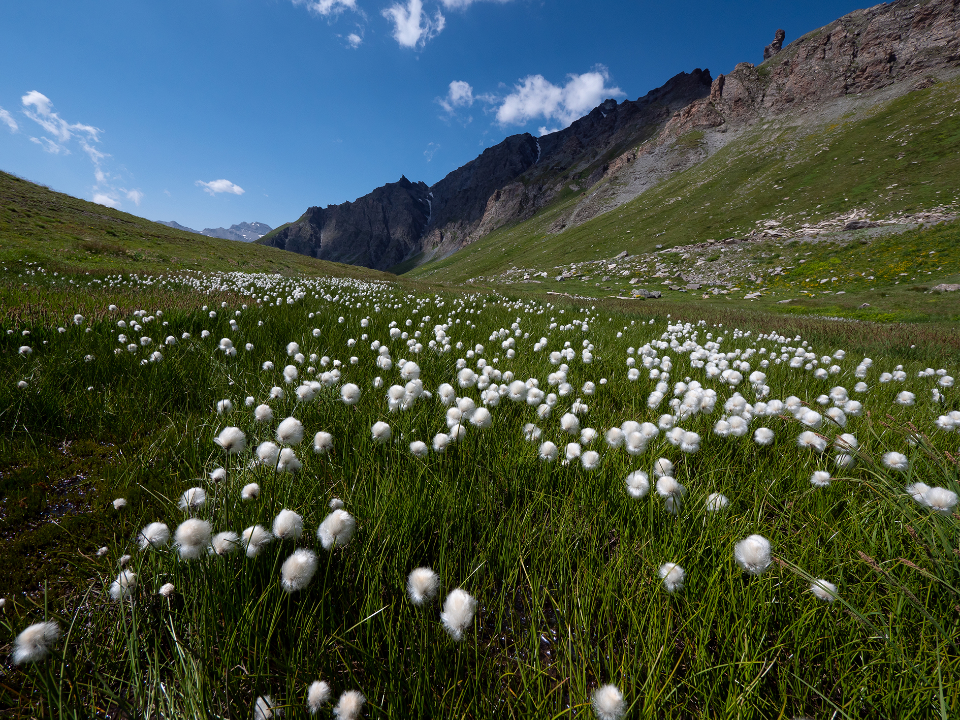 Lamb's Hill - Varaita Valley.