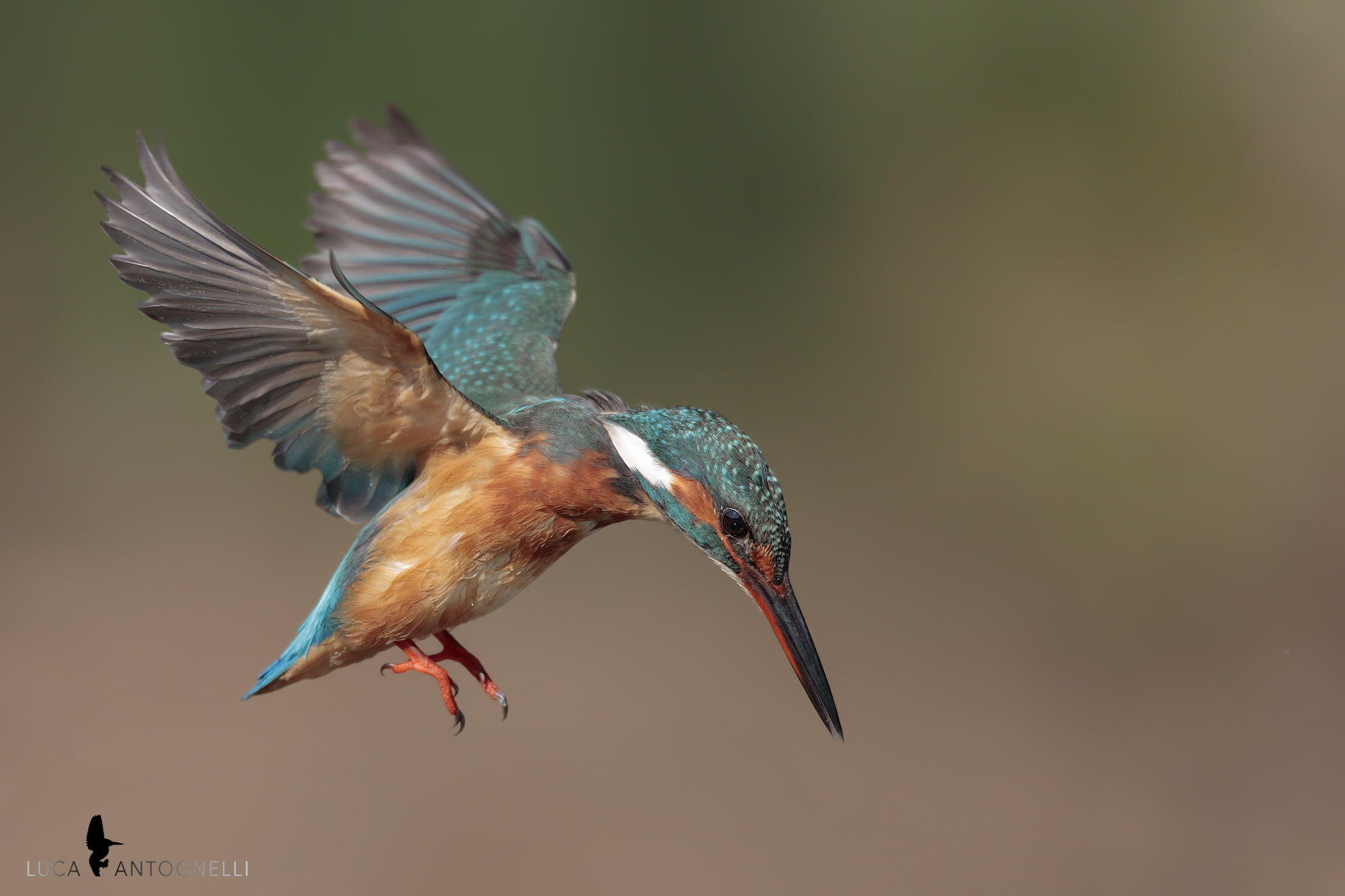 La rincorsa prima del tuffo.