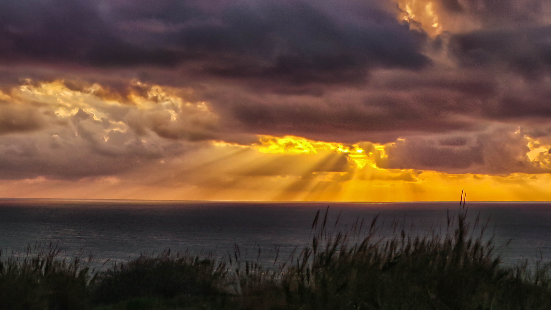 Sunset , Lights of The City