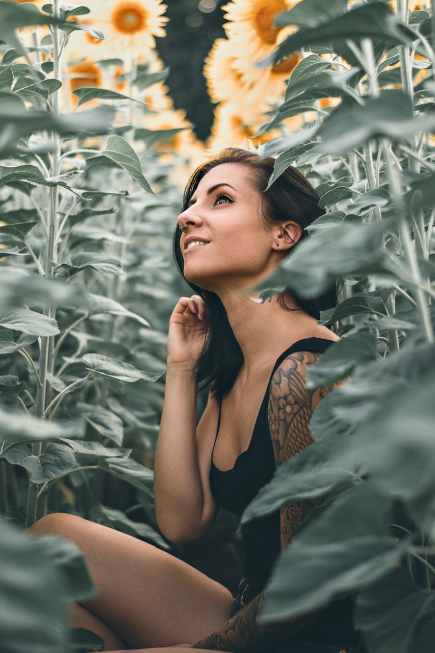 Sunflower, New California