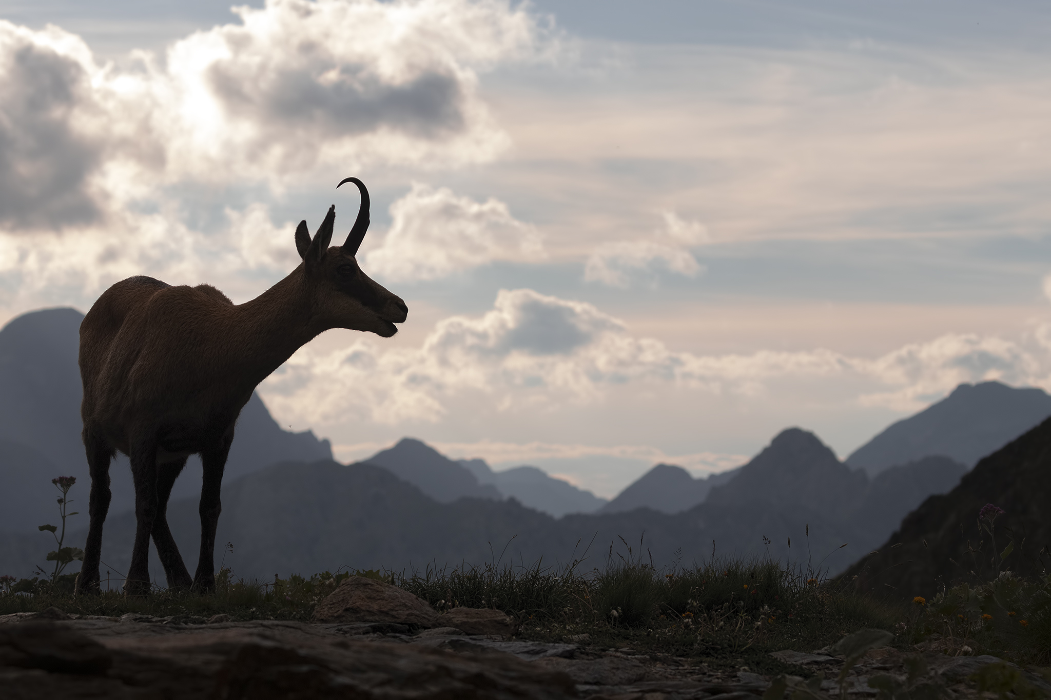 Brucare al tramonto..