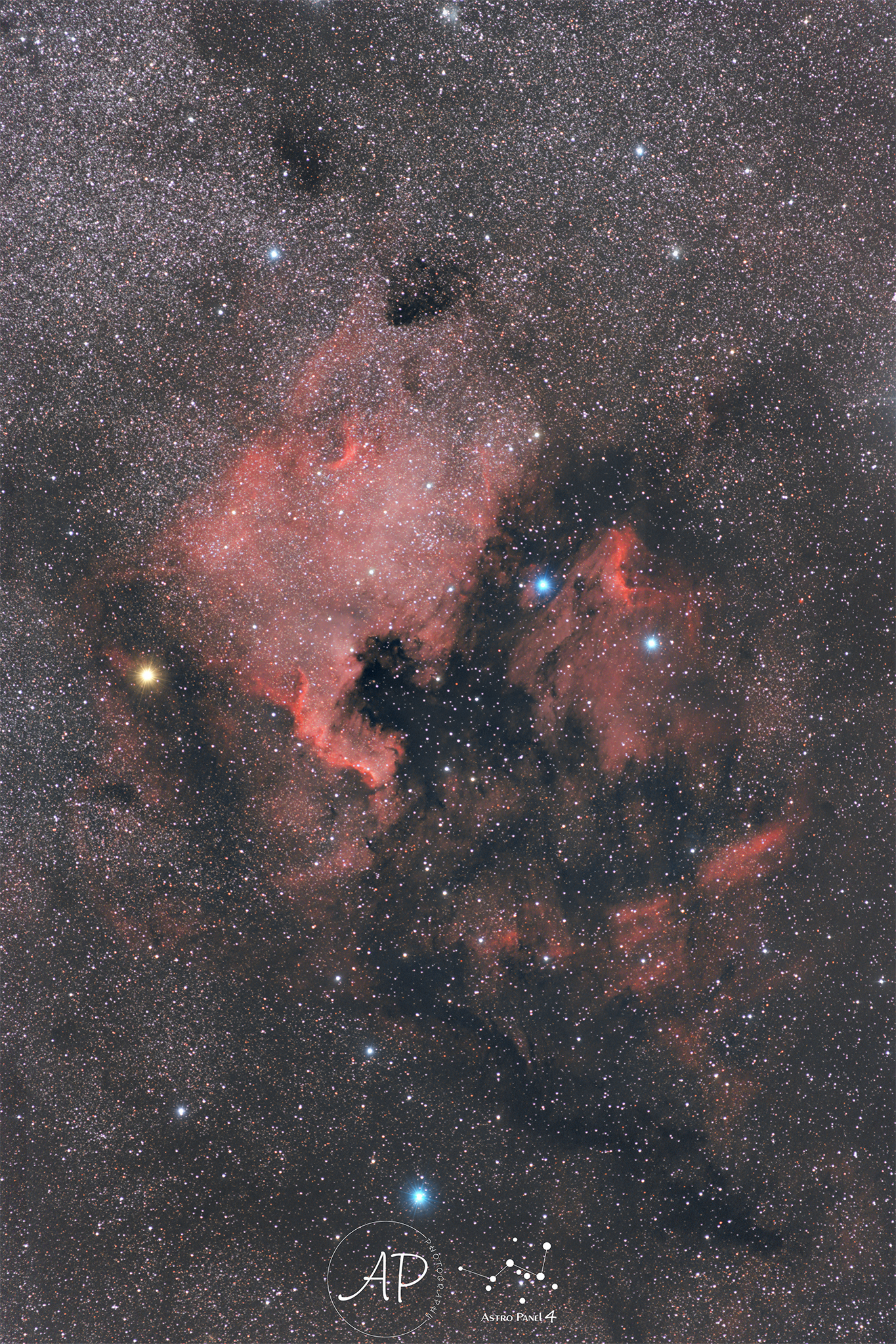 NGC 7000