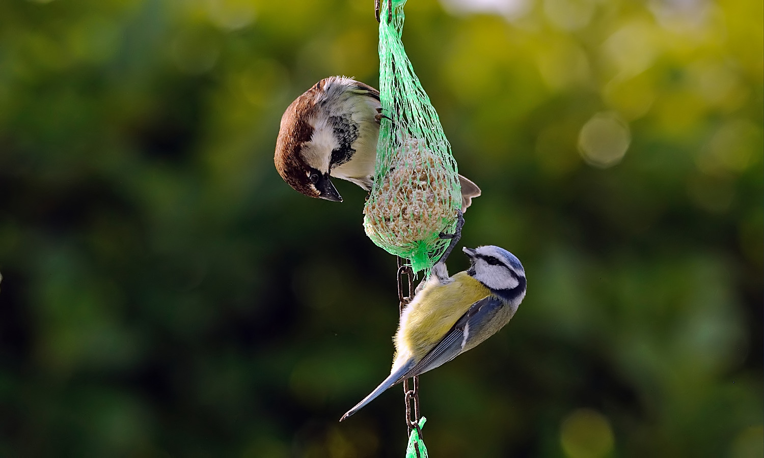 Ma sei sicura? Cugini da parte di mamma, dici?