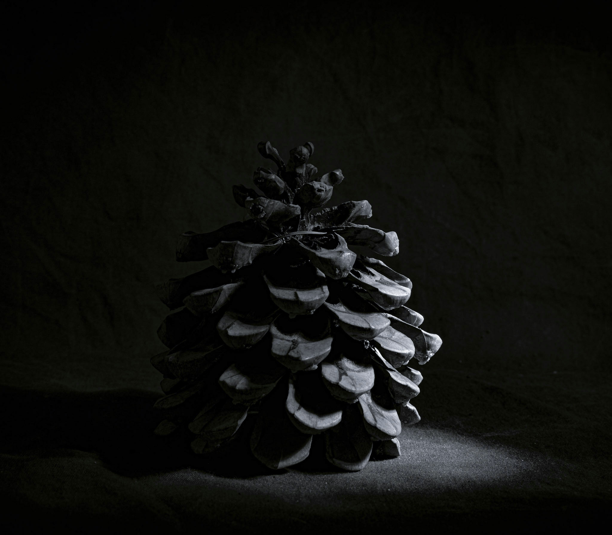 Untitled Photo