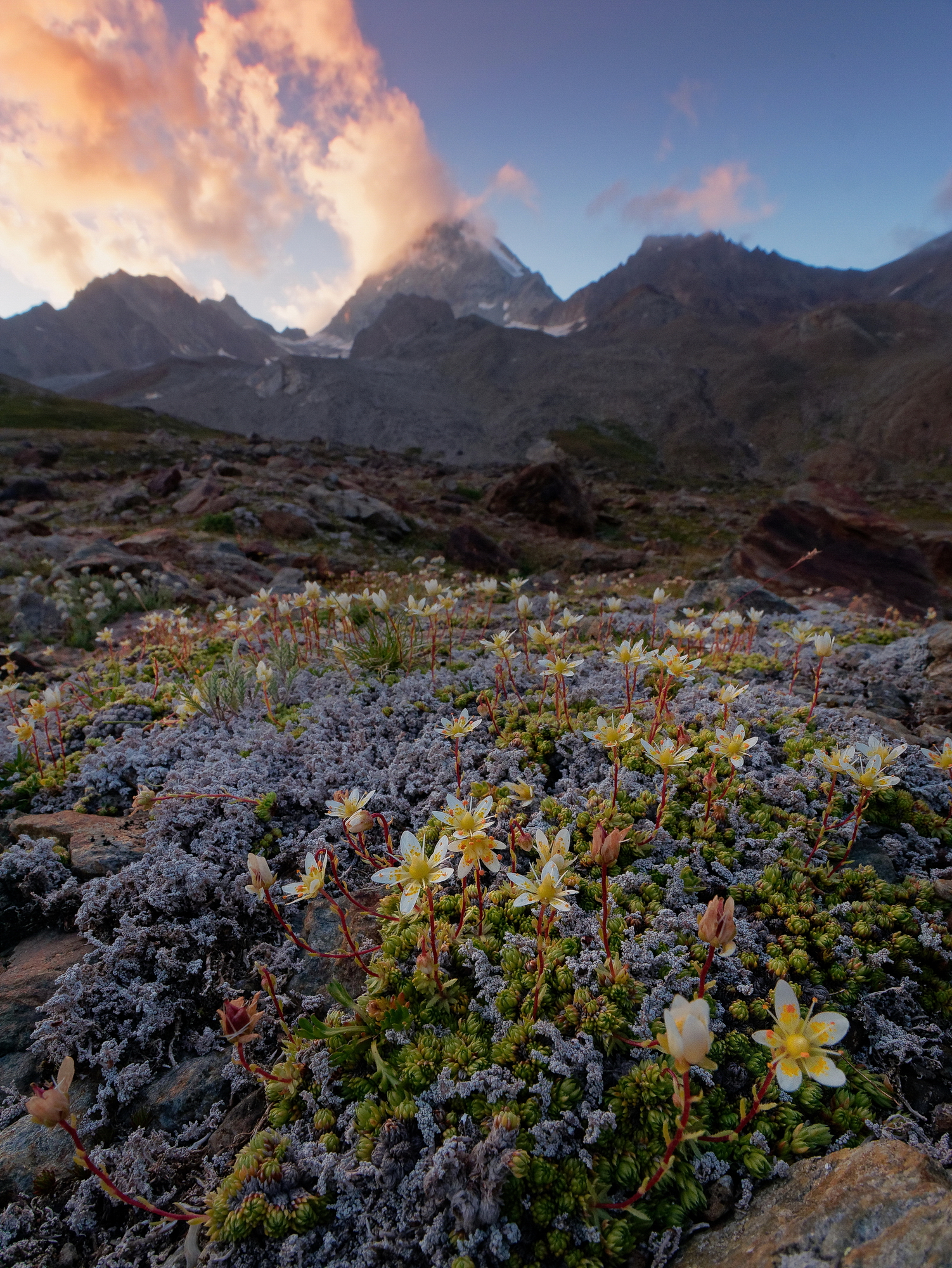 At the foot of the Great Zebrù