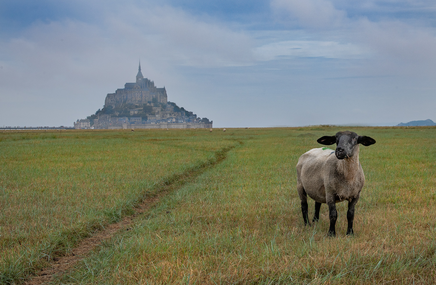 Mont St Michel