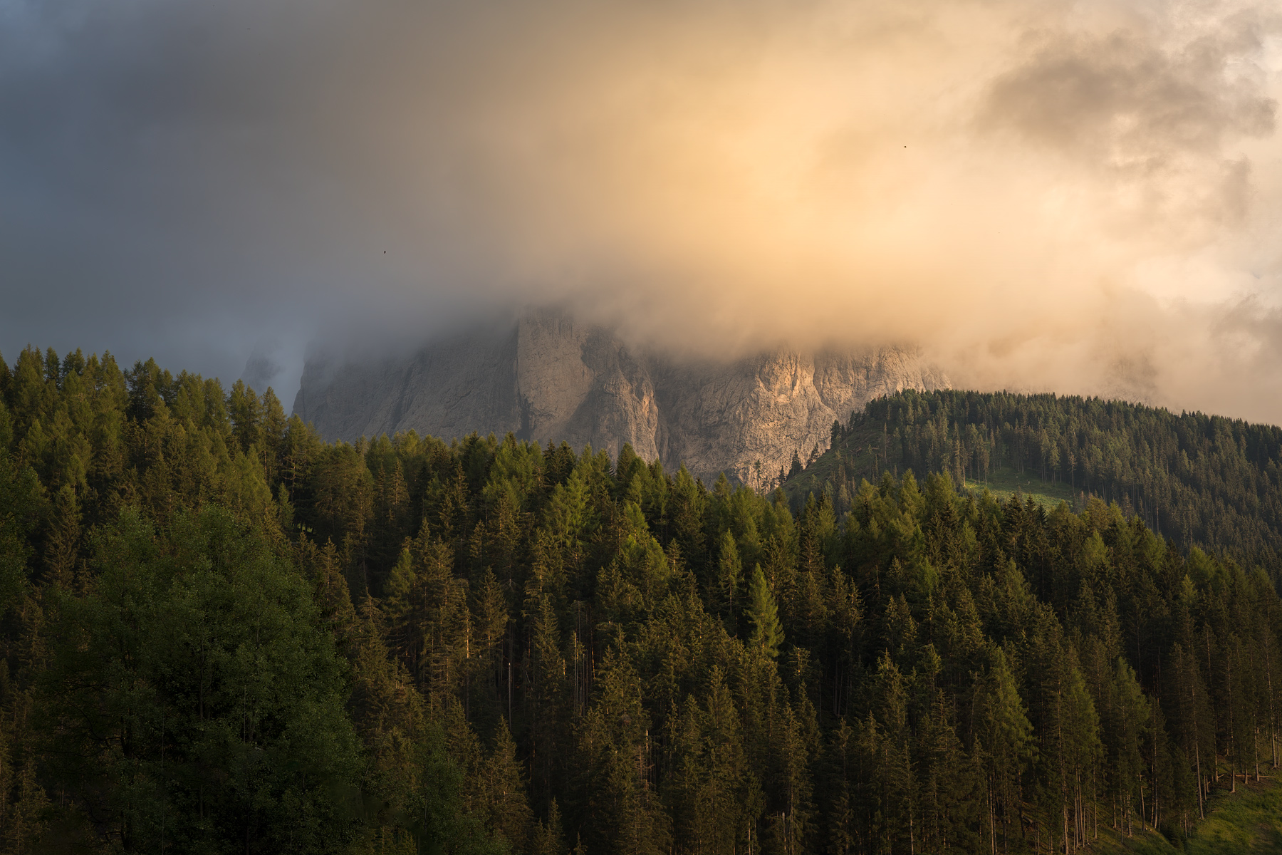 Golden Saslong, New1000