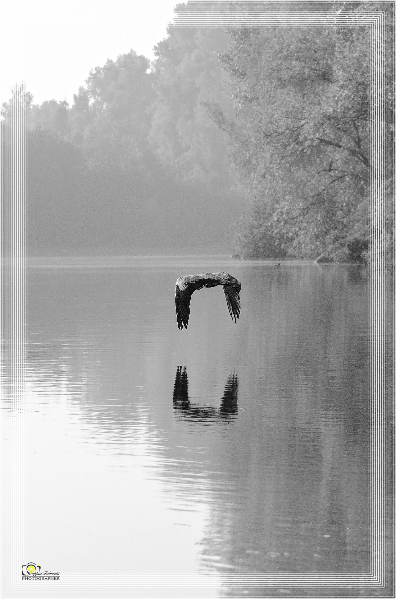 An upside-down u-flight