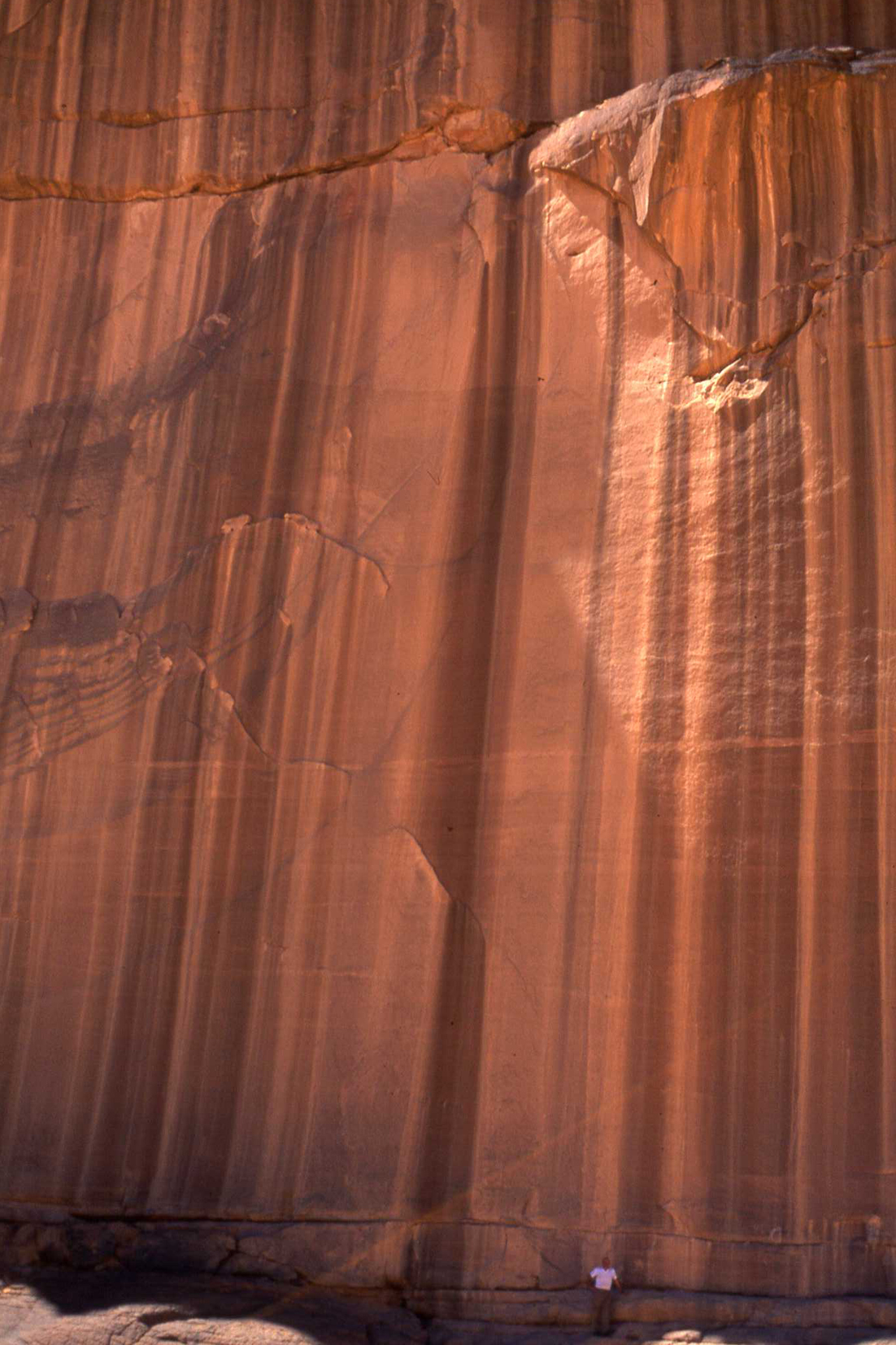 io sono in basso a destra...