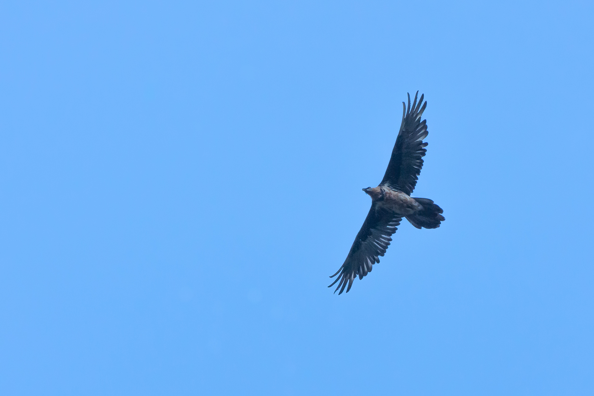 Finalmente ci incontriamo