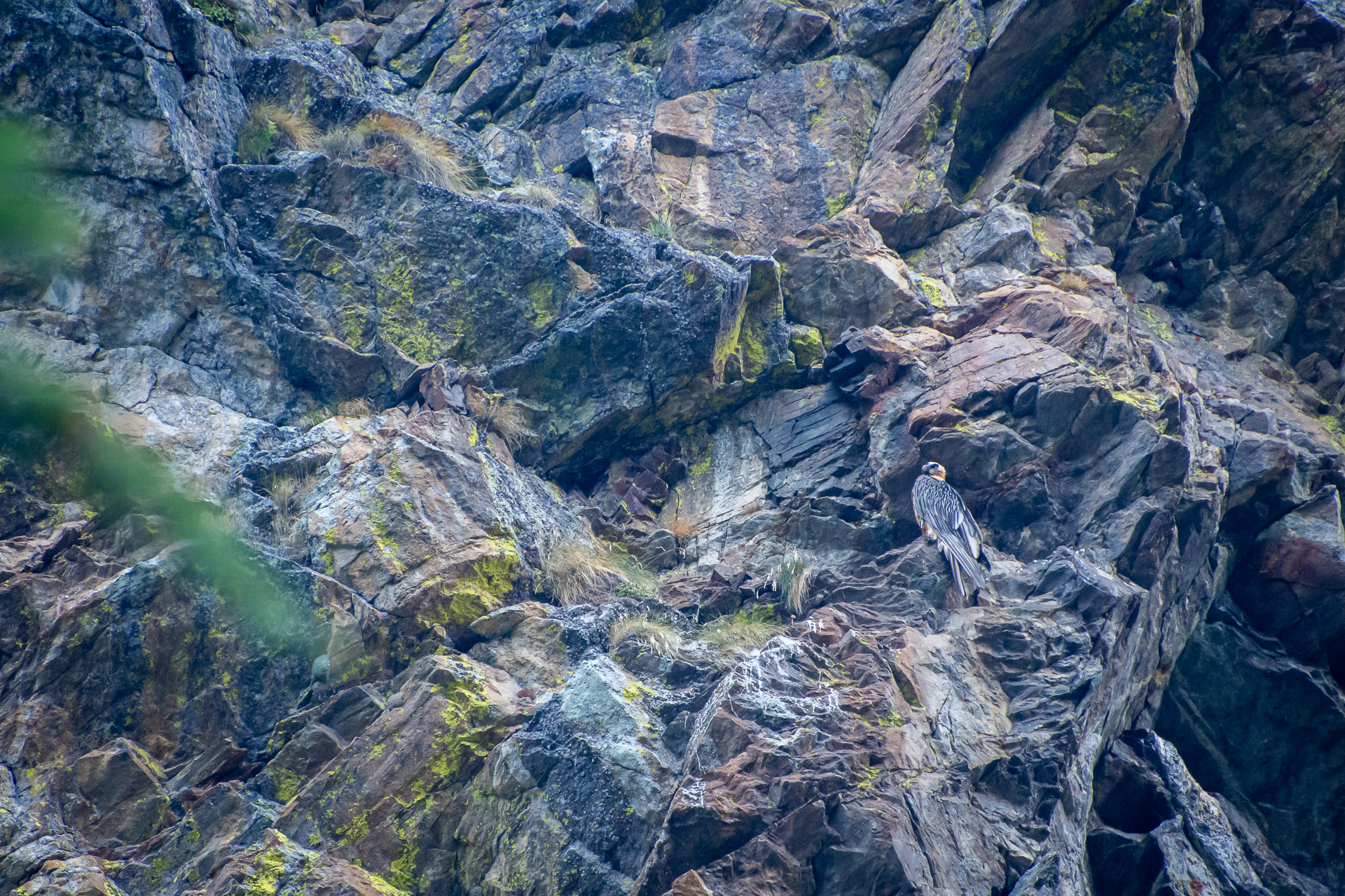 Nel suo trono di rocce