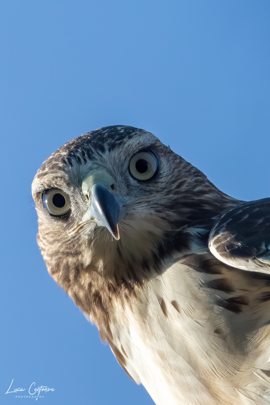 The look that kills!