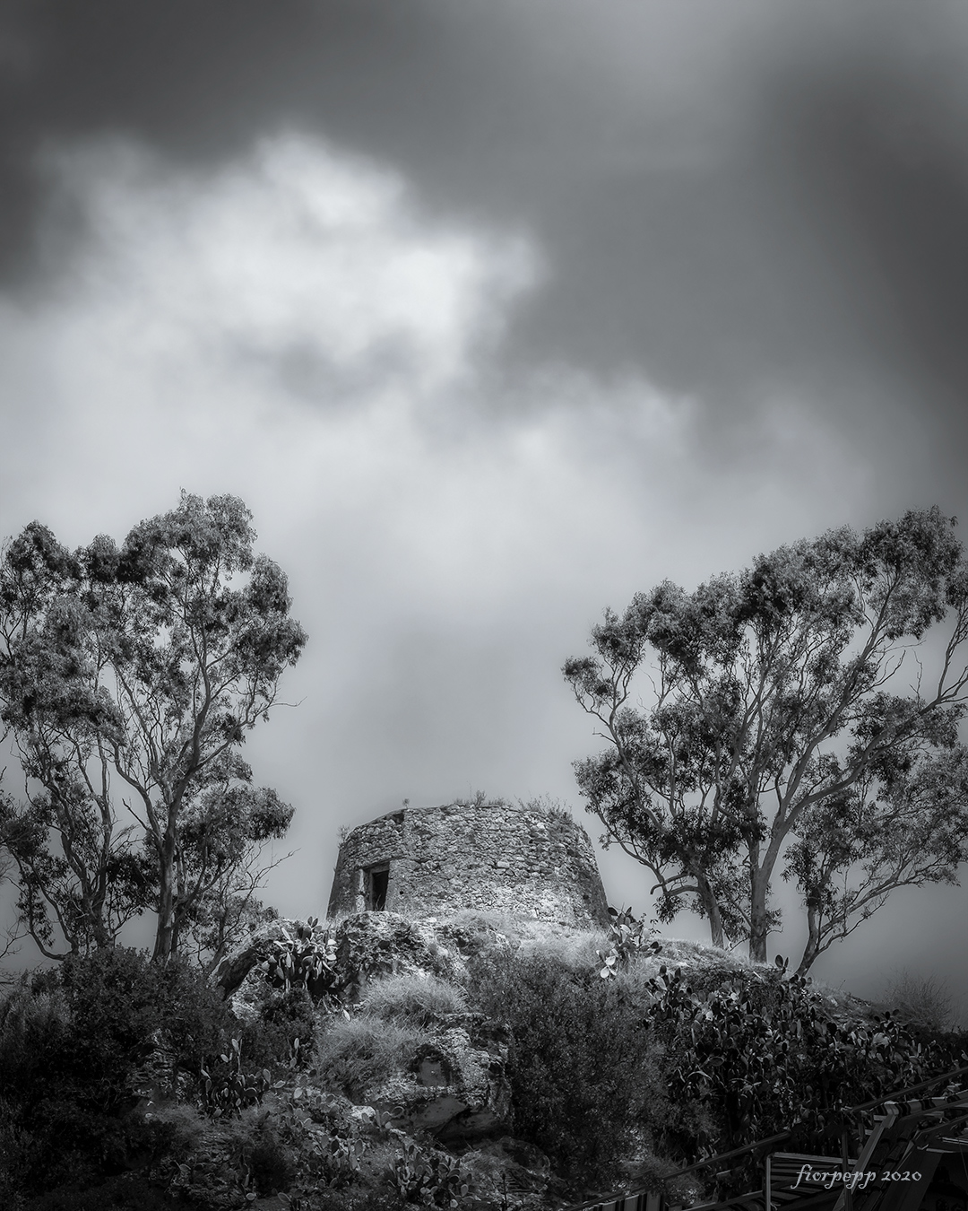 Location Tower Wolf Falerna CZ