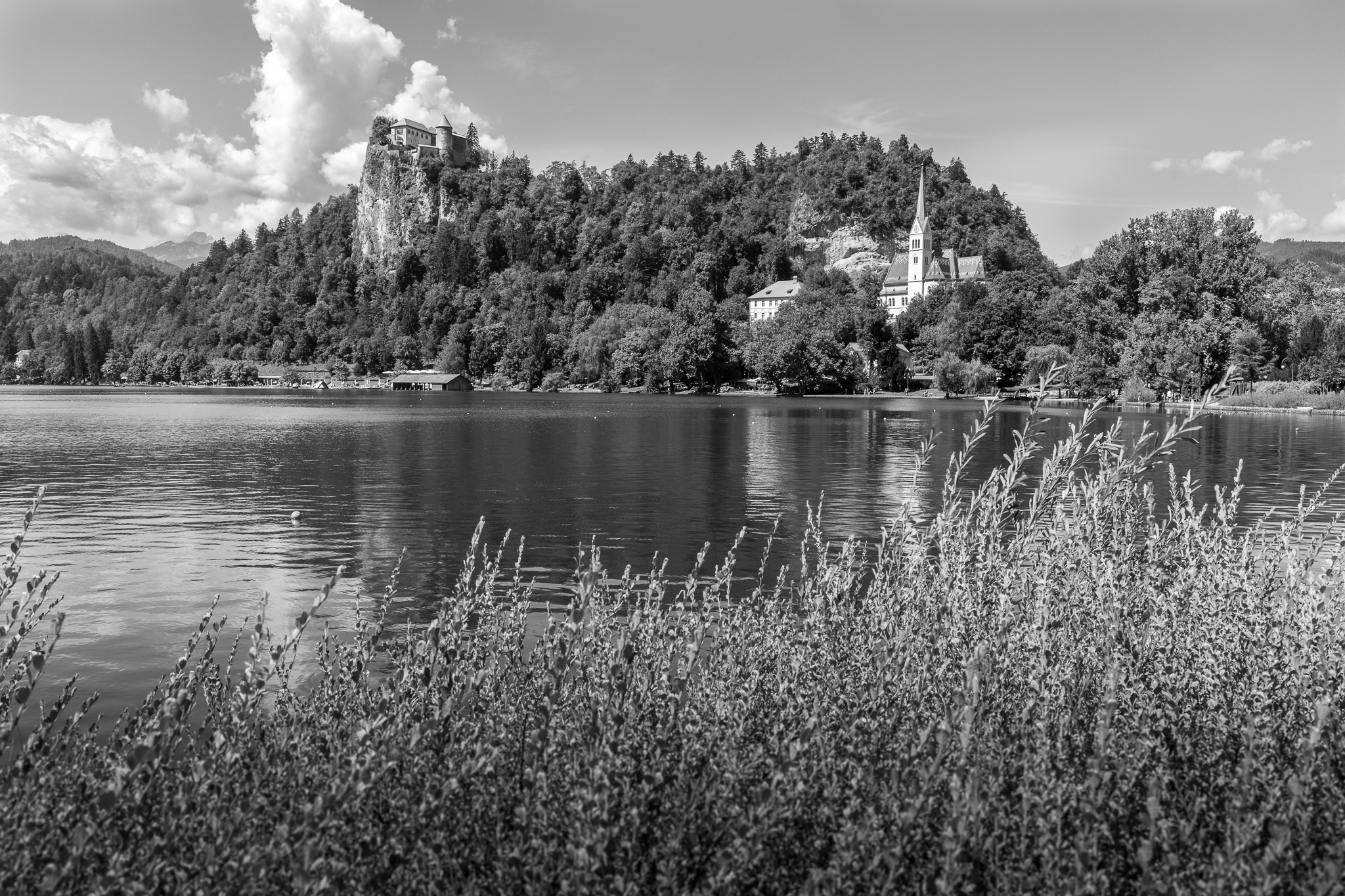 Lago di Bled in bianco e nero