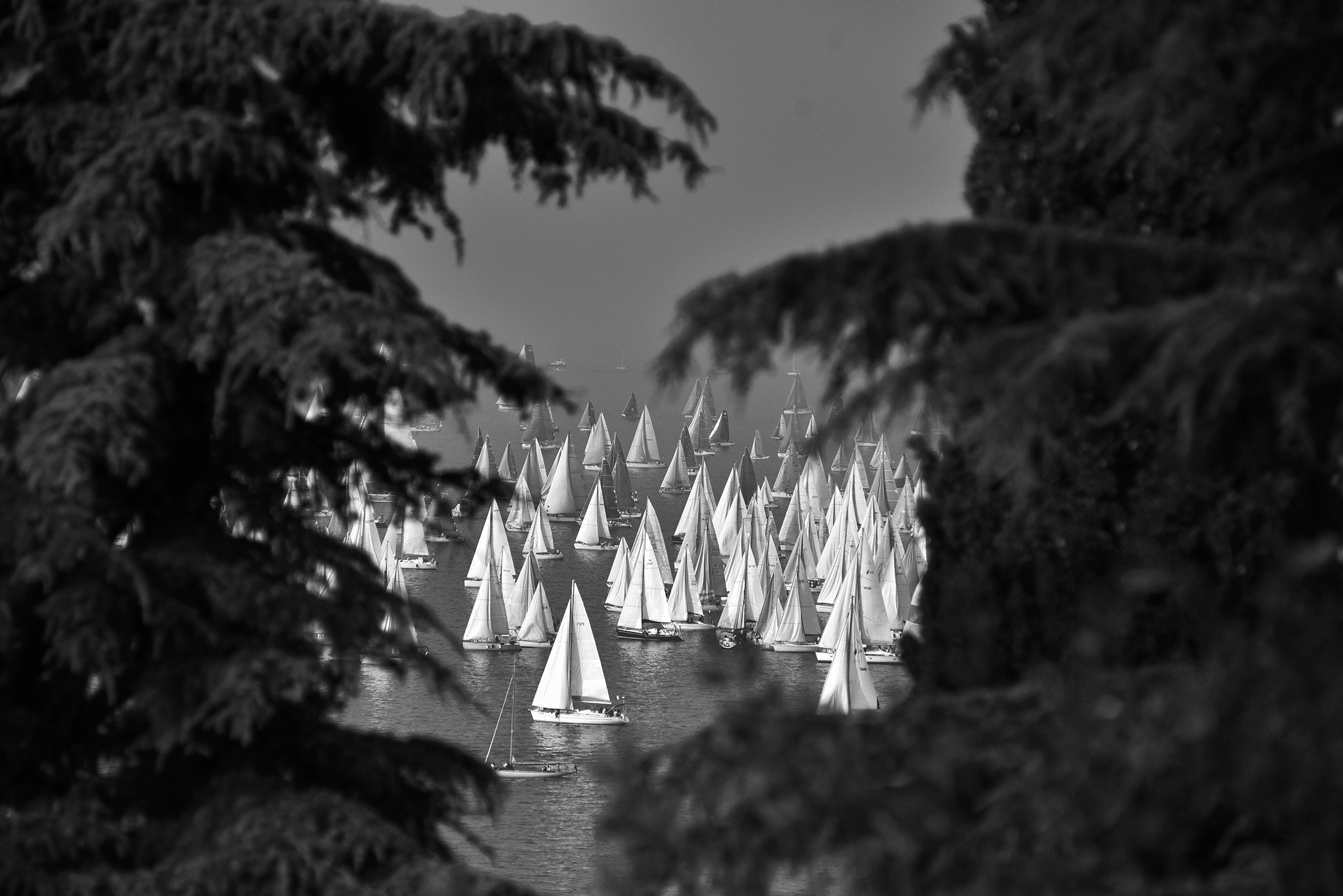 Spying on the Barcolana