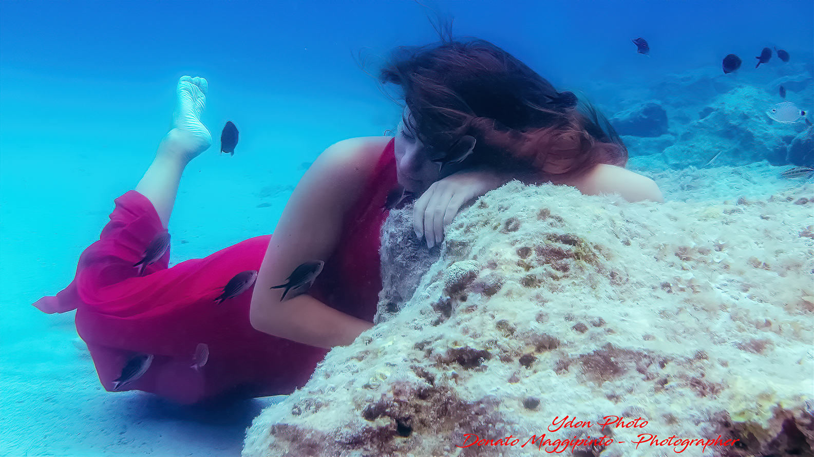 le sirene esistono