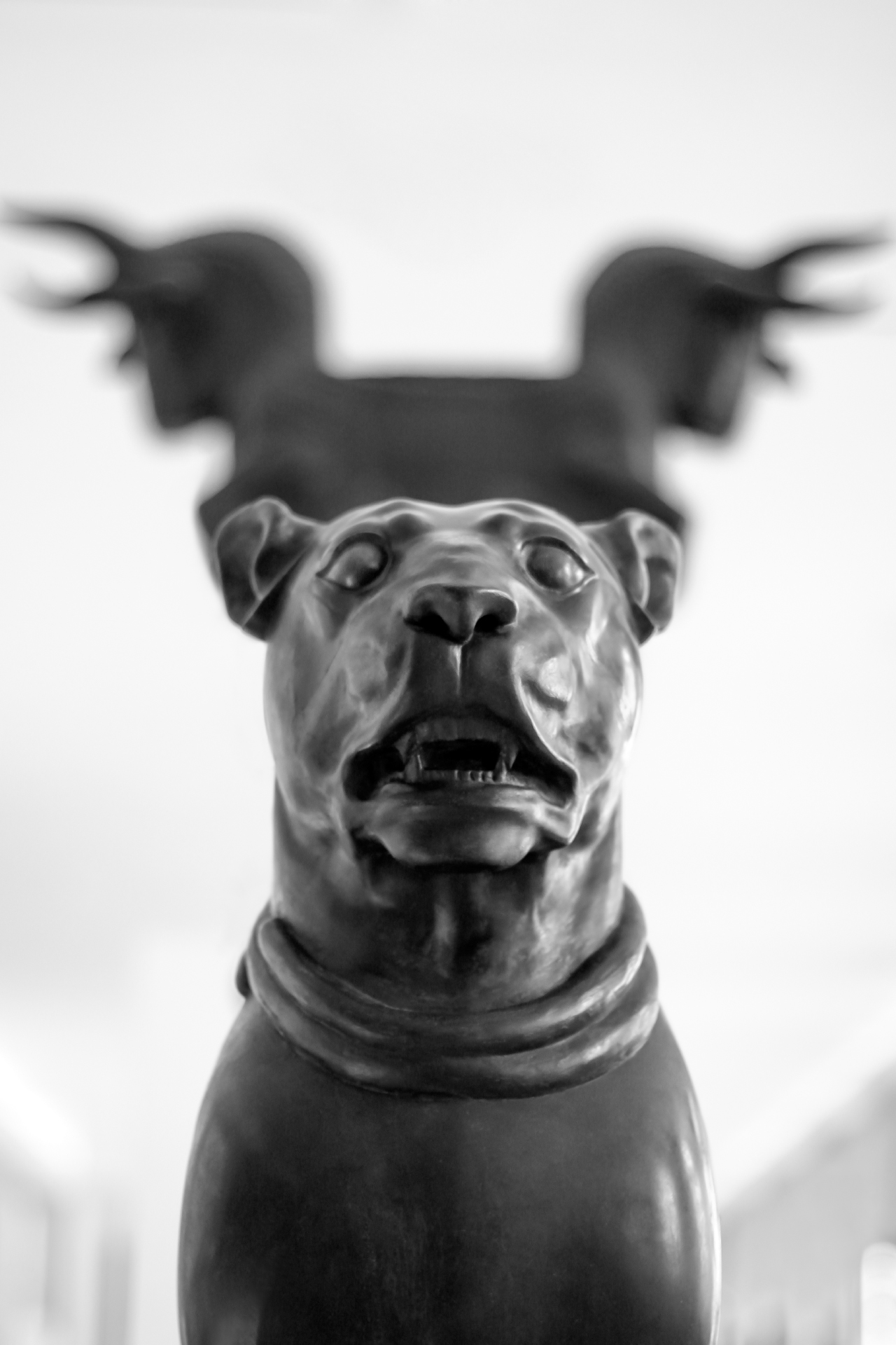 Watchdog & Bull Capital di Perspolis