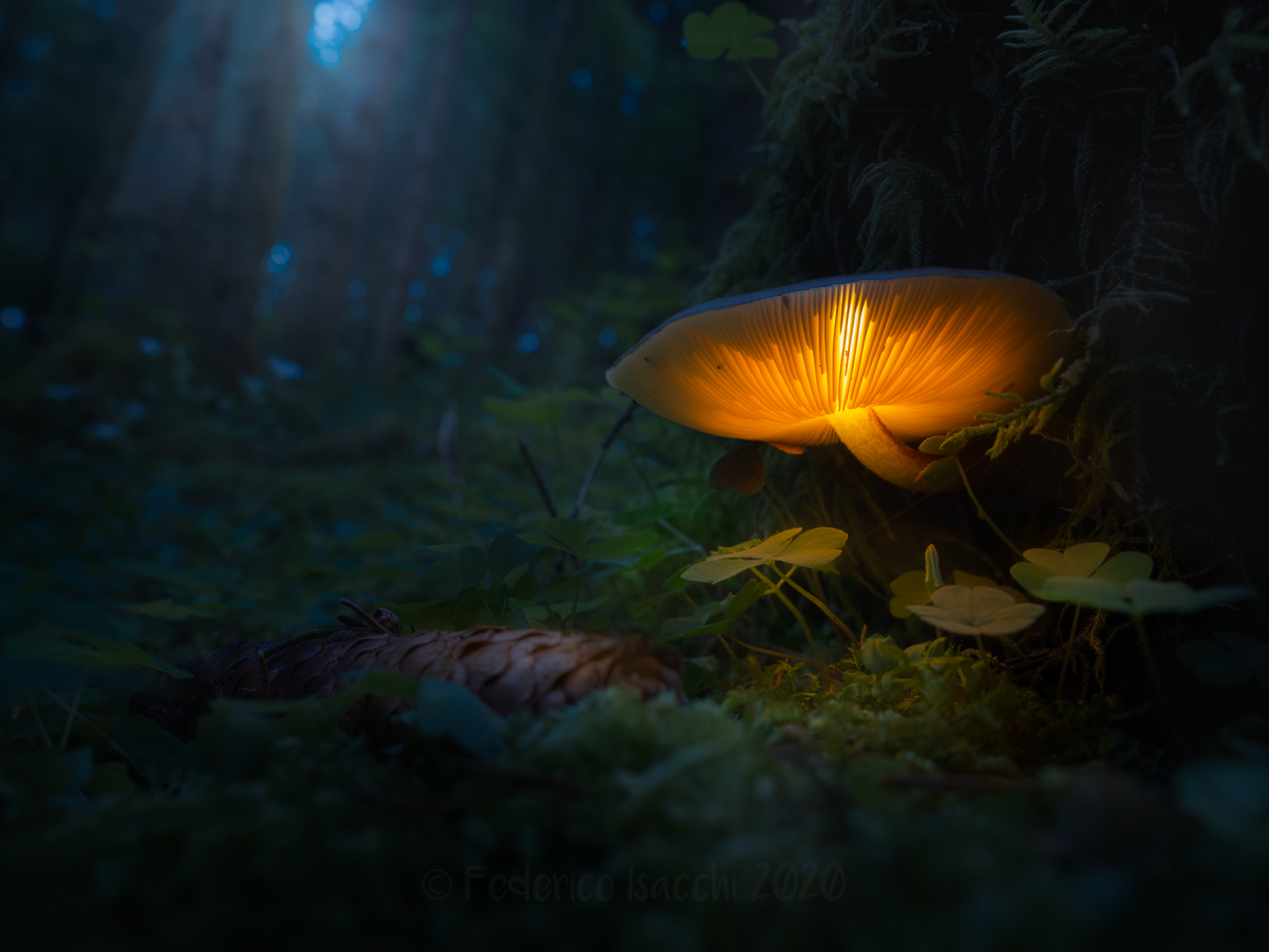 The house of fairytales