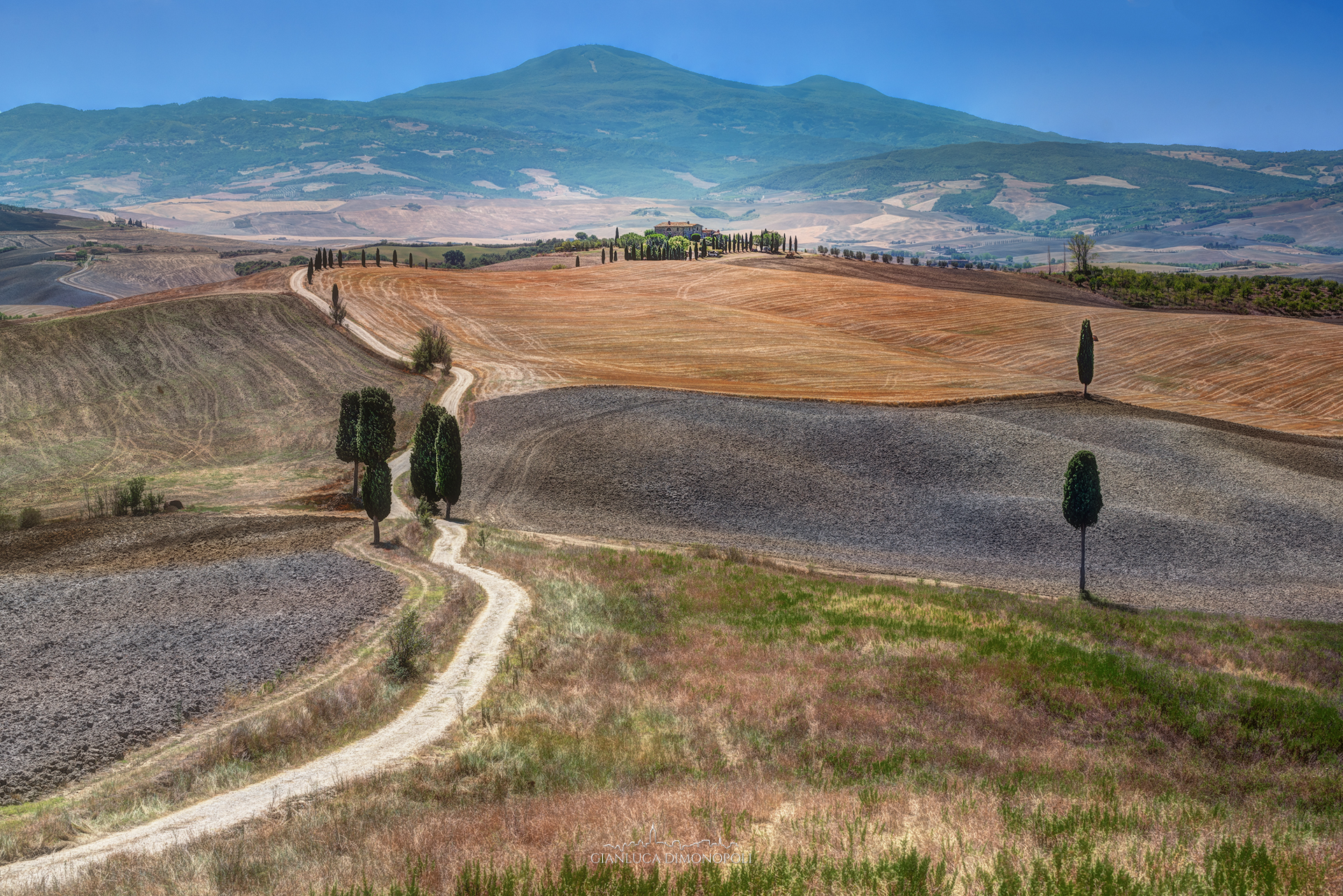 I Cipressi del Gladiatore