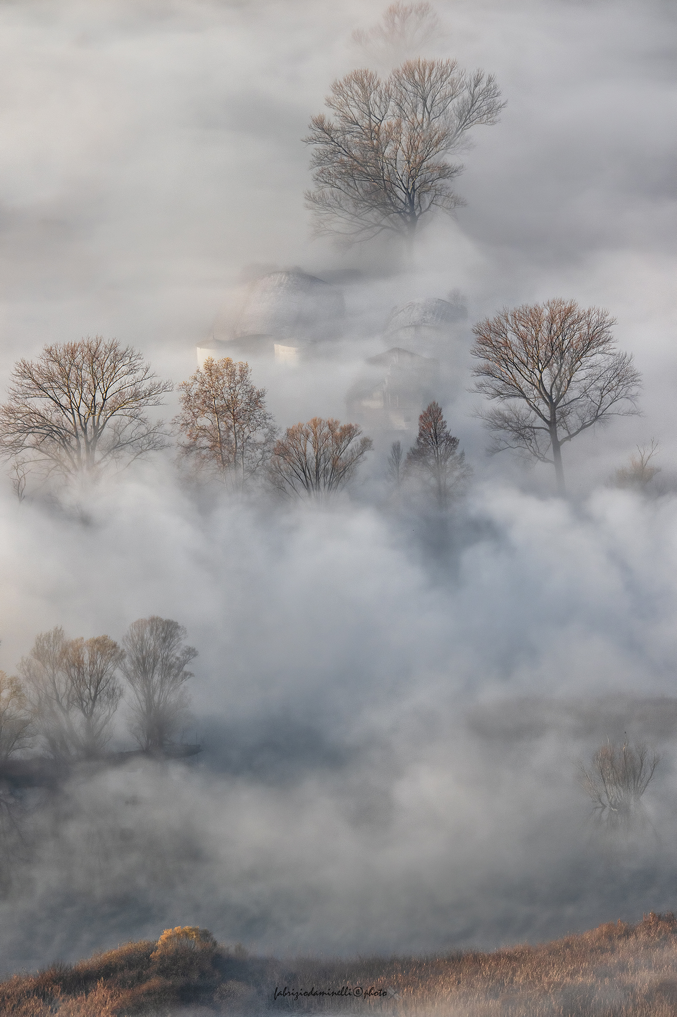 fog landscape