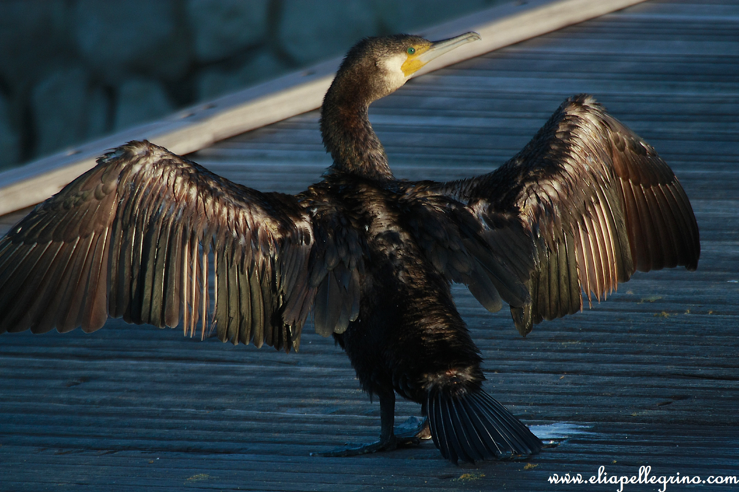 1,2,3, abbracciamoci