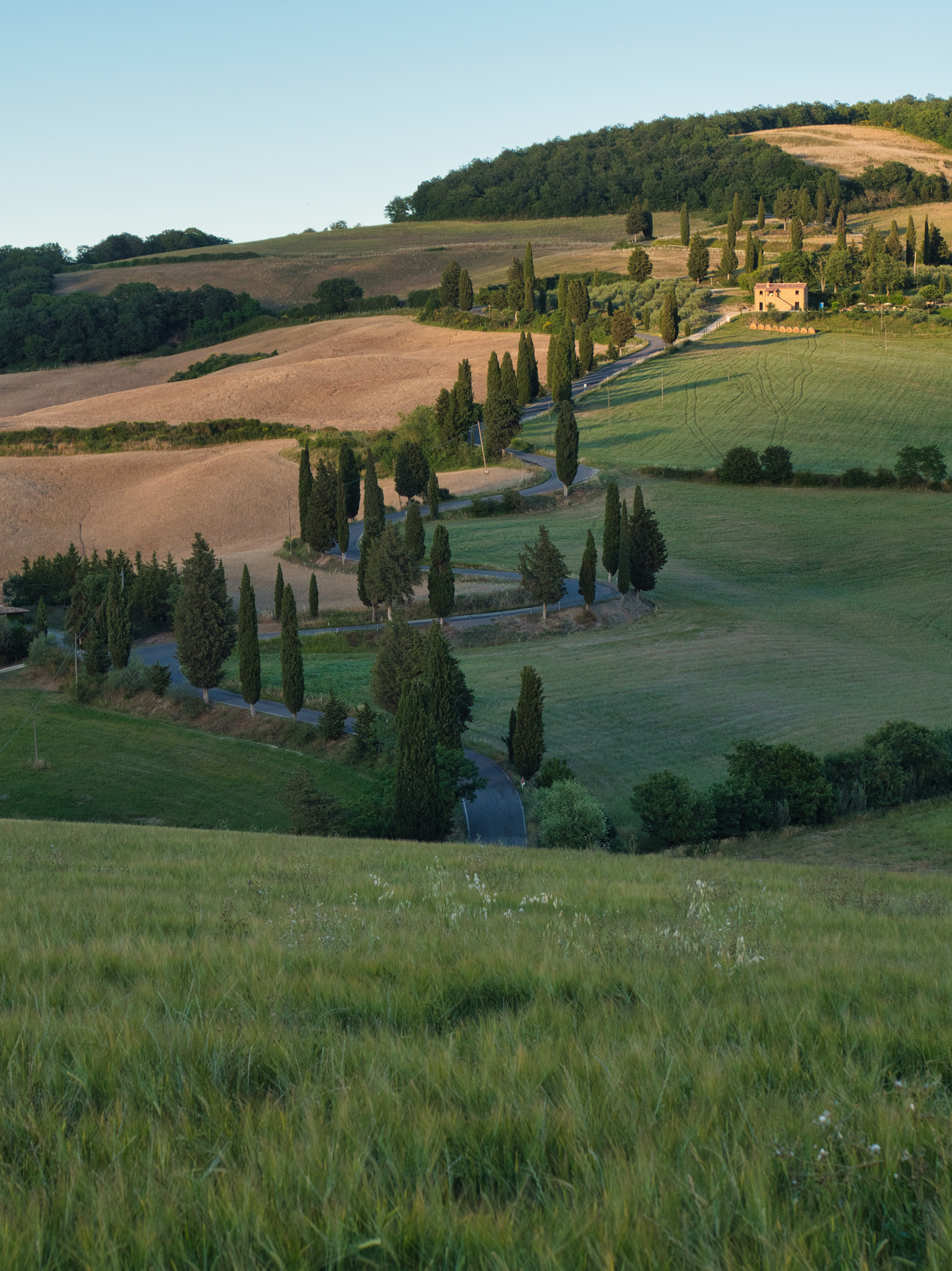 Cipressi di Monticchiello - Val d'Orcia