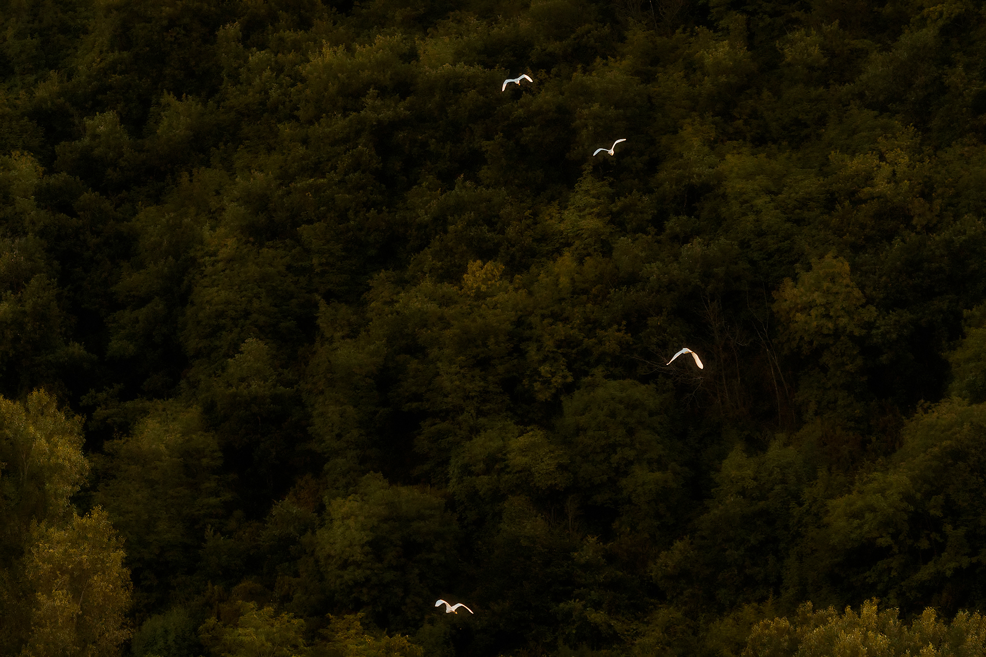 When you're too far away.