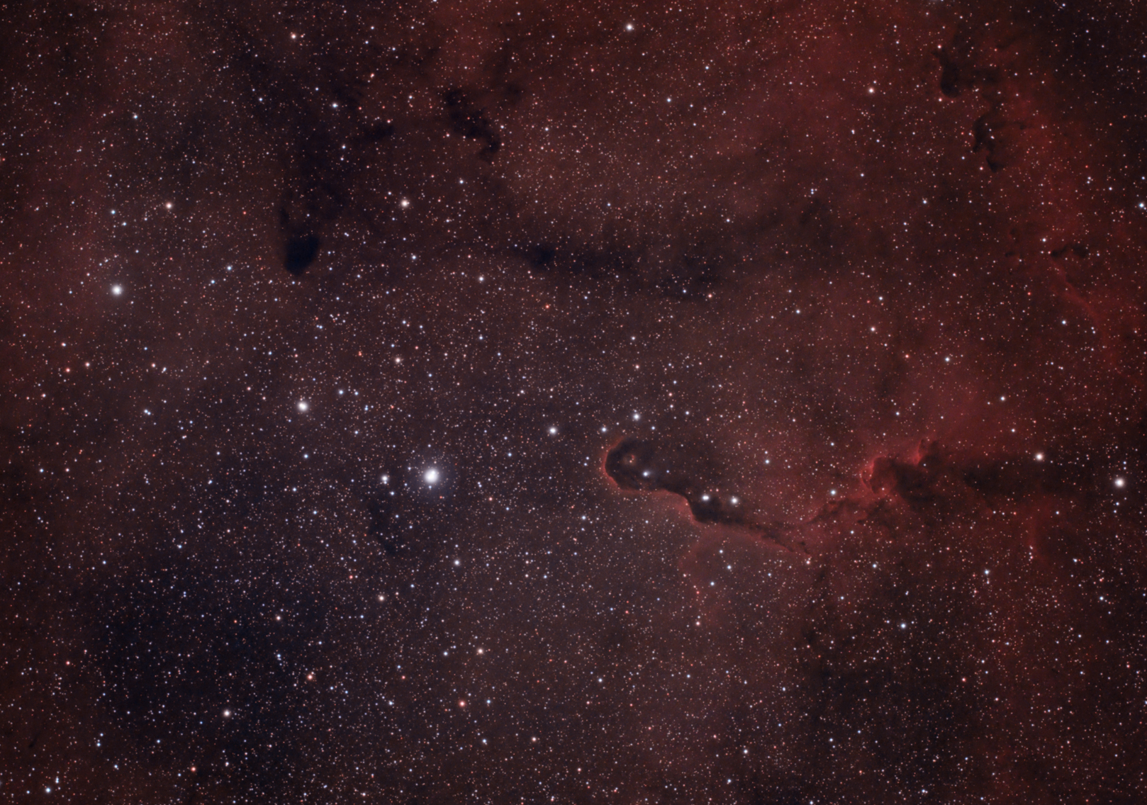 Elephant Trunk and surroundings with NB1 filter