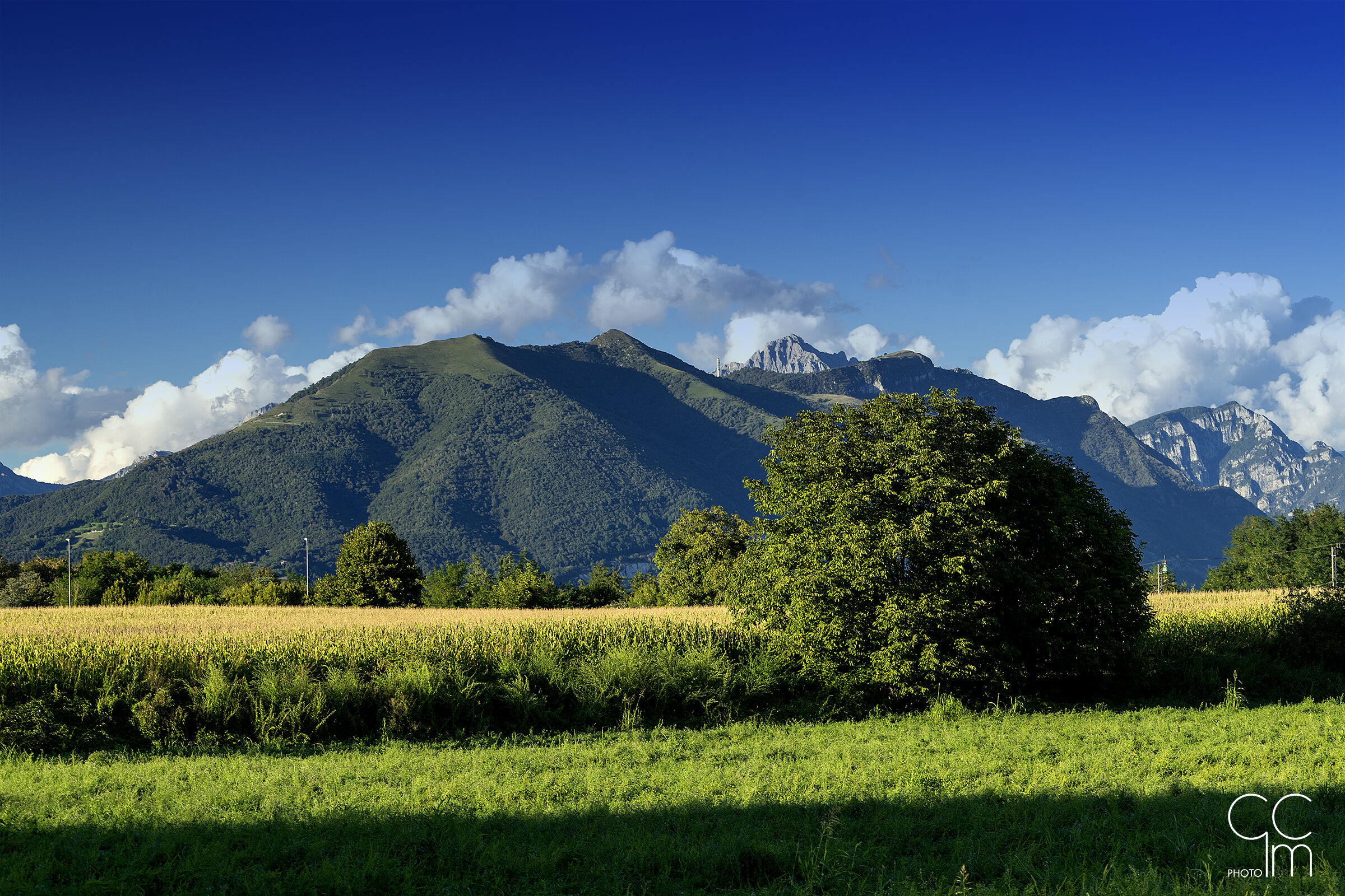 Brianza velenosa due!?