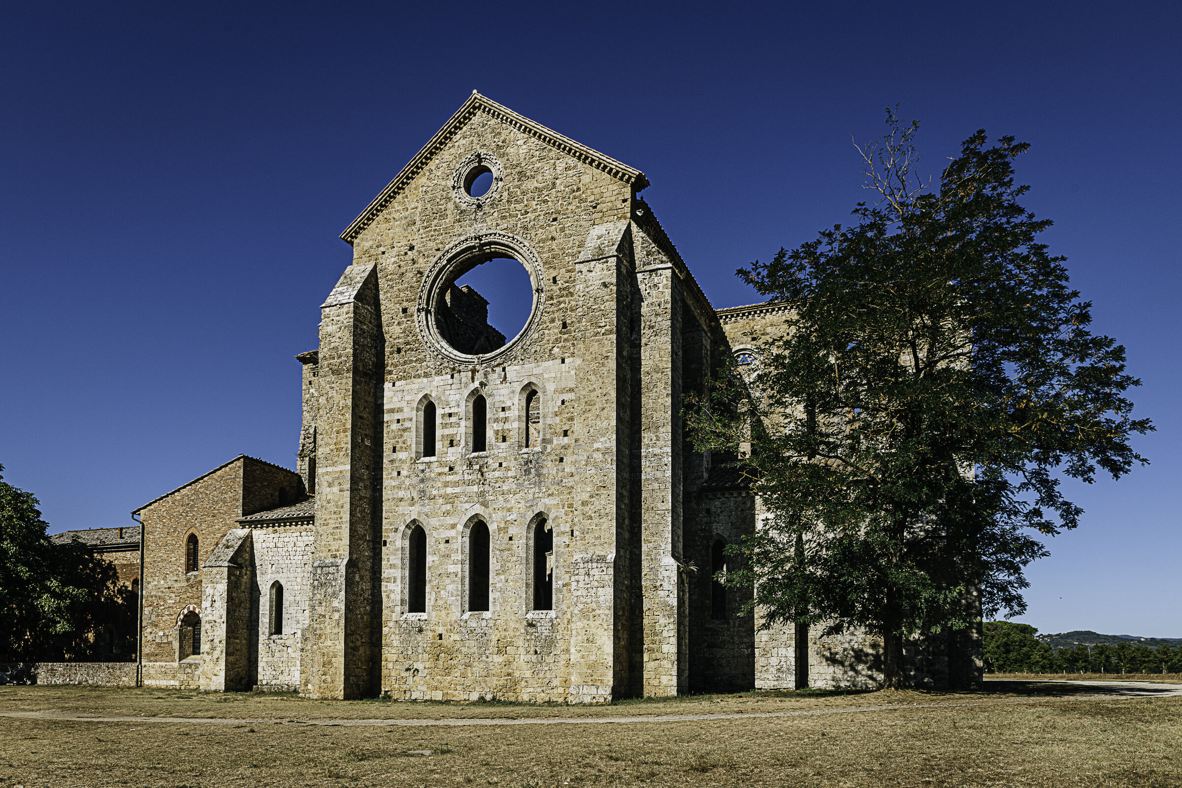 Sotto il sole toscano